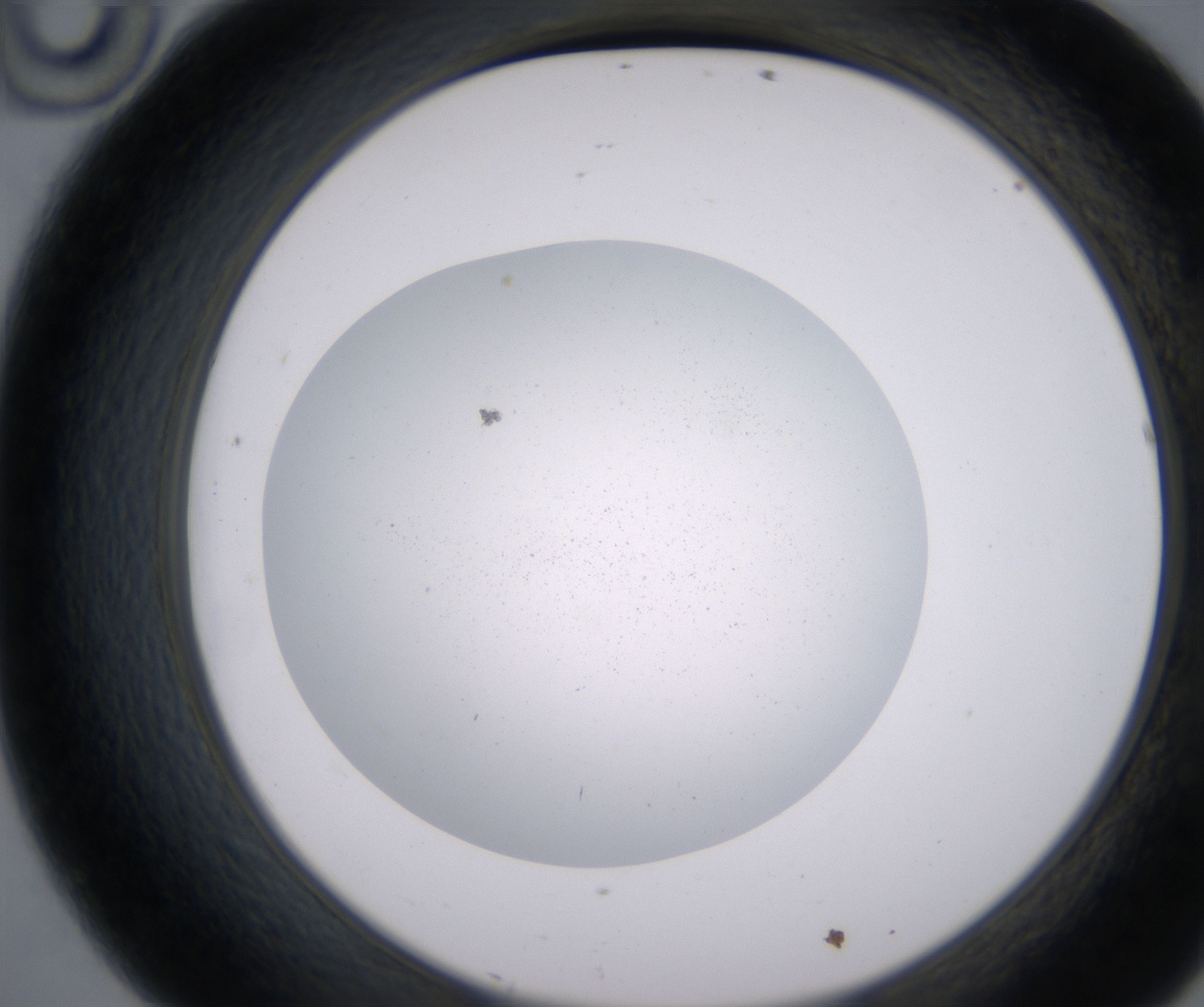 D10_HighResolution_Precipitate_2.jpg