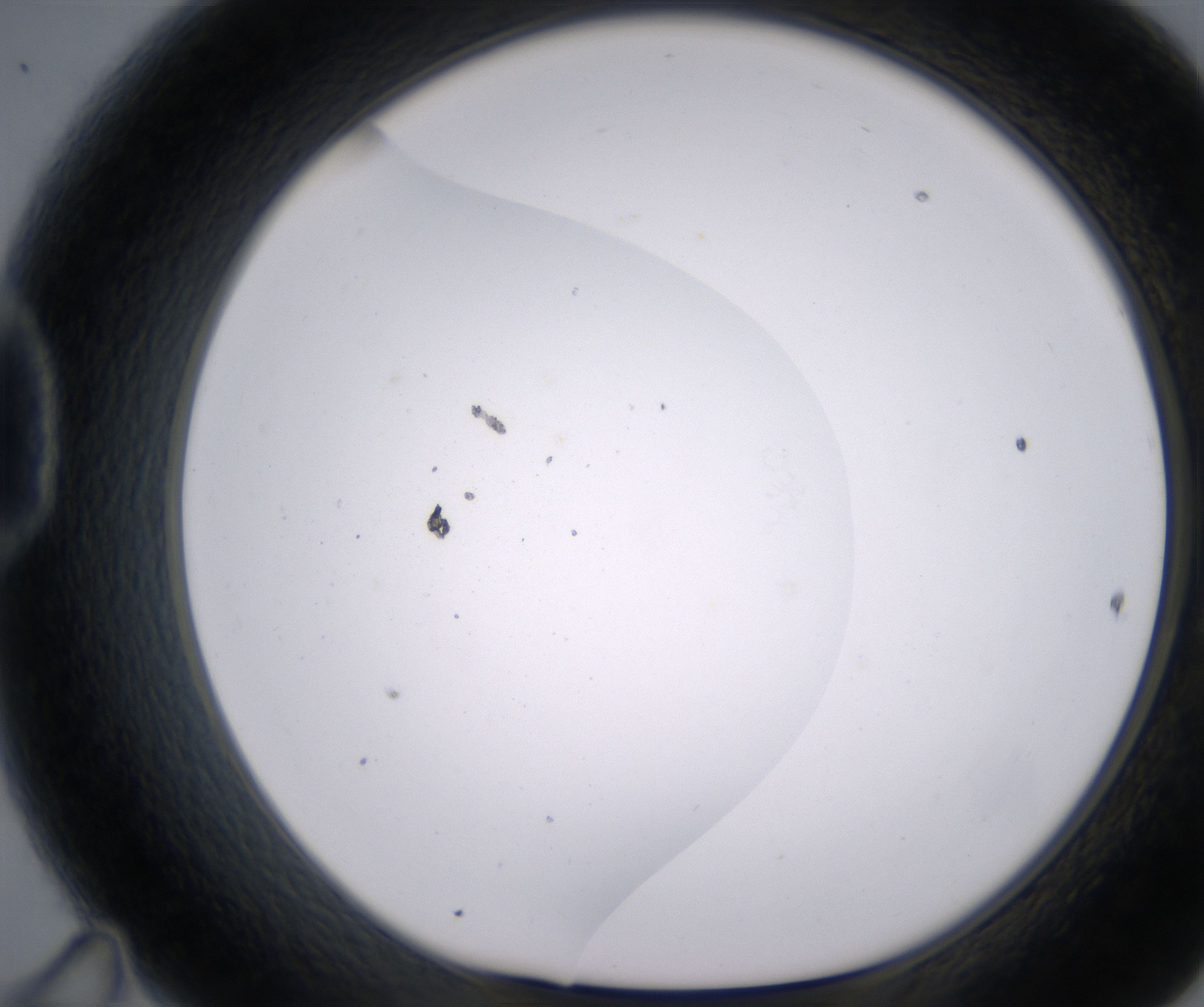D11_HighResolution_Clear_1.jpg