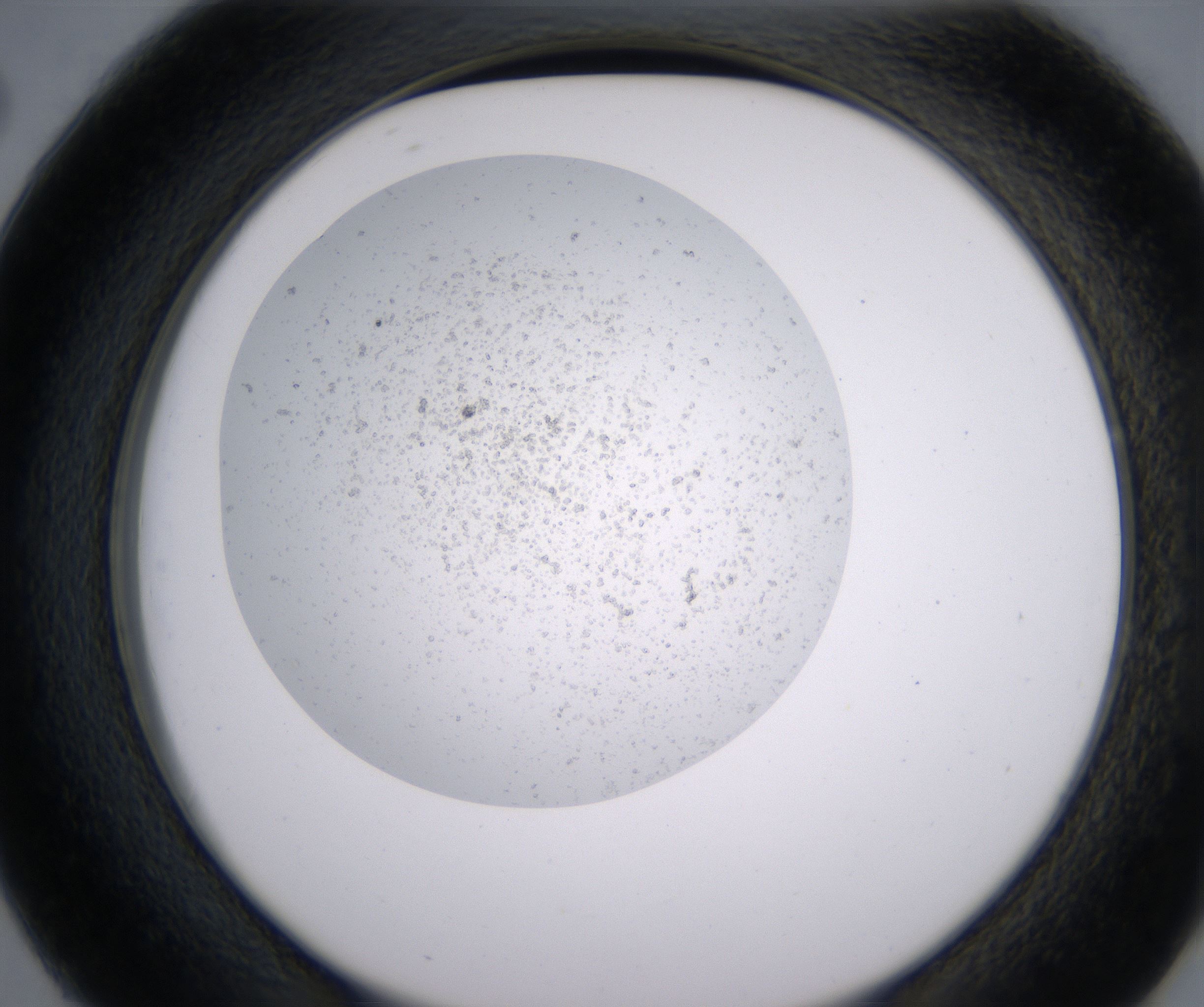 D2_HighResolution_Precipitate_2.jpg