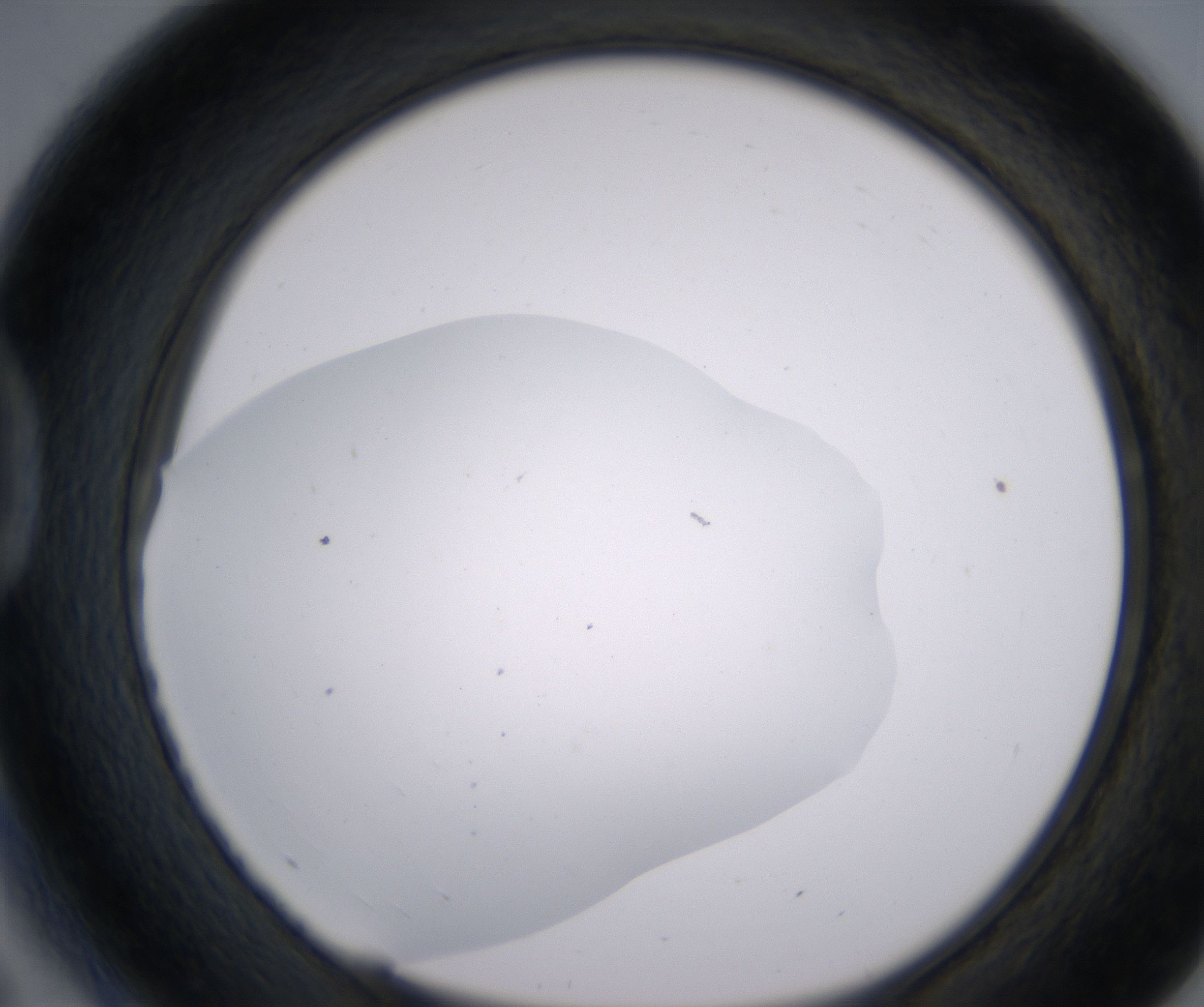 D5_HighResolution_Clear_1.jpg