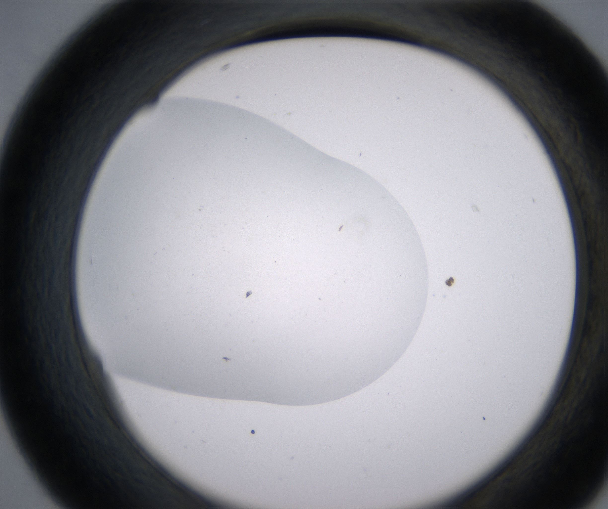 D7_HighResolution_Clear_2.jpg