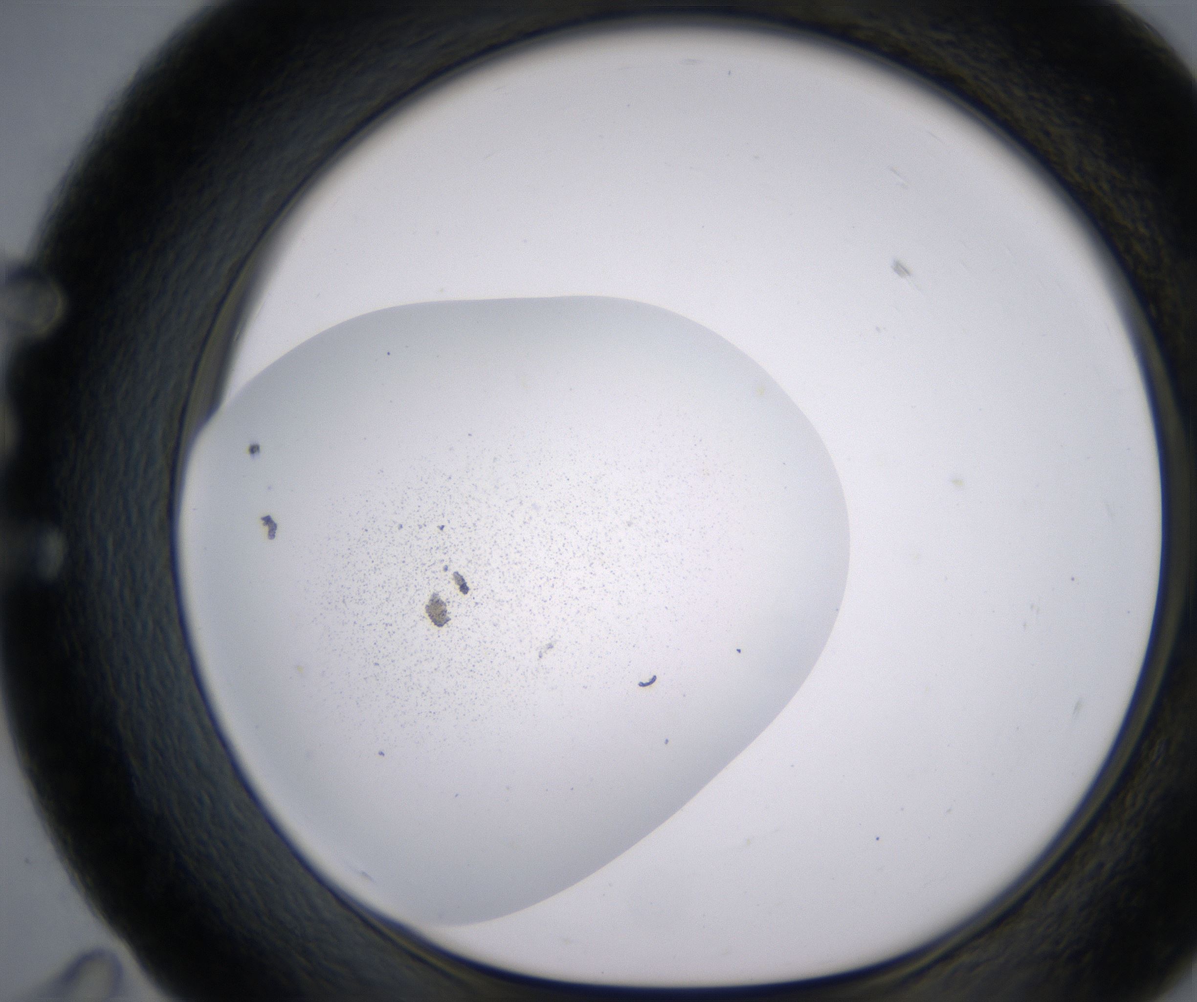 E11_HighResolution_Precipitate_1.jpg