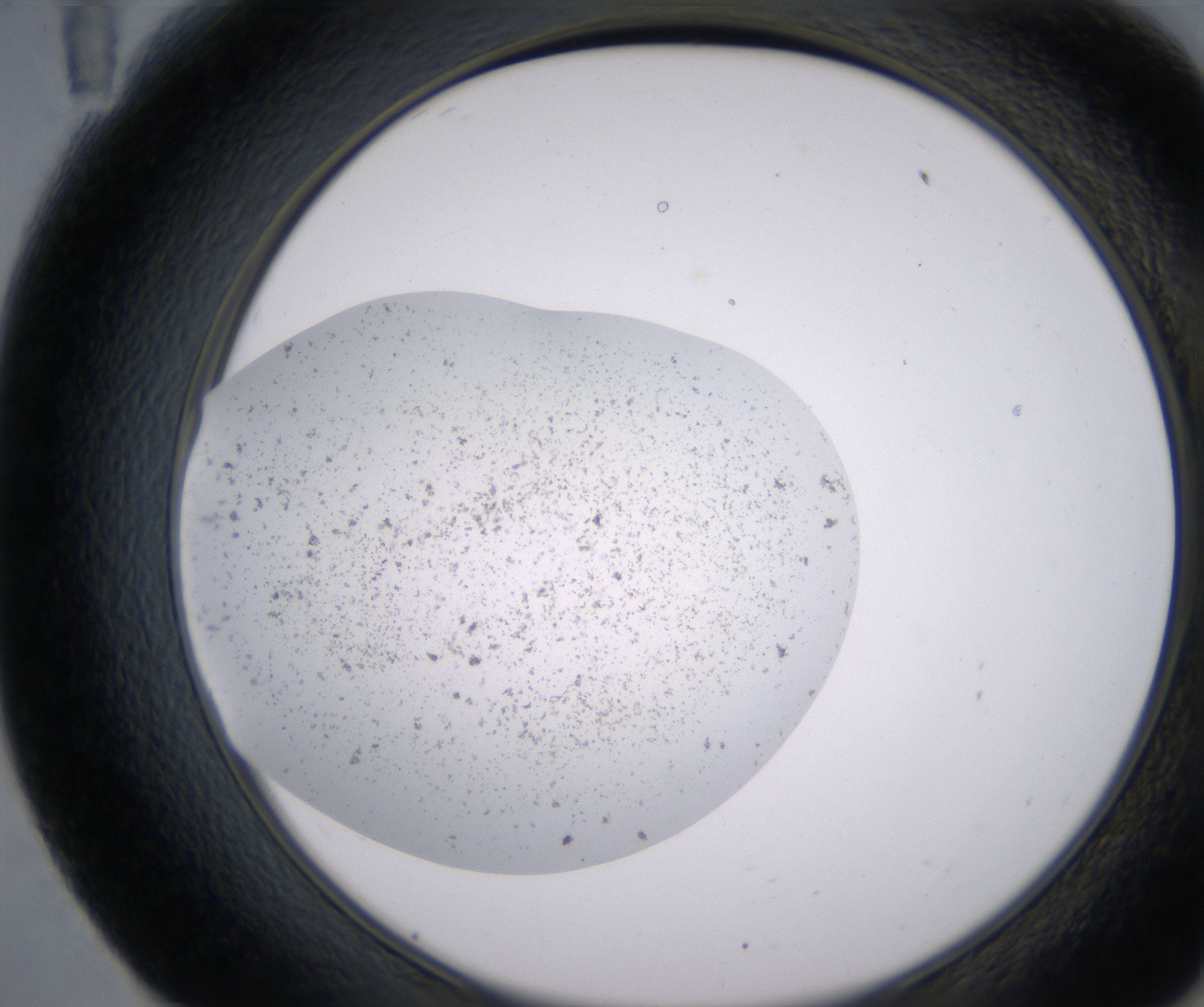 E11_HighResolution_Precipitate_2.jpg