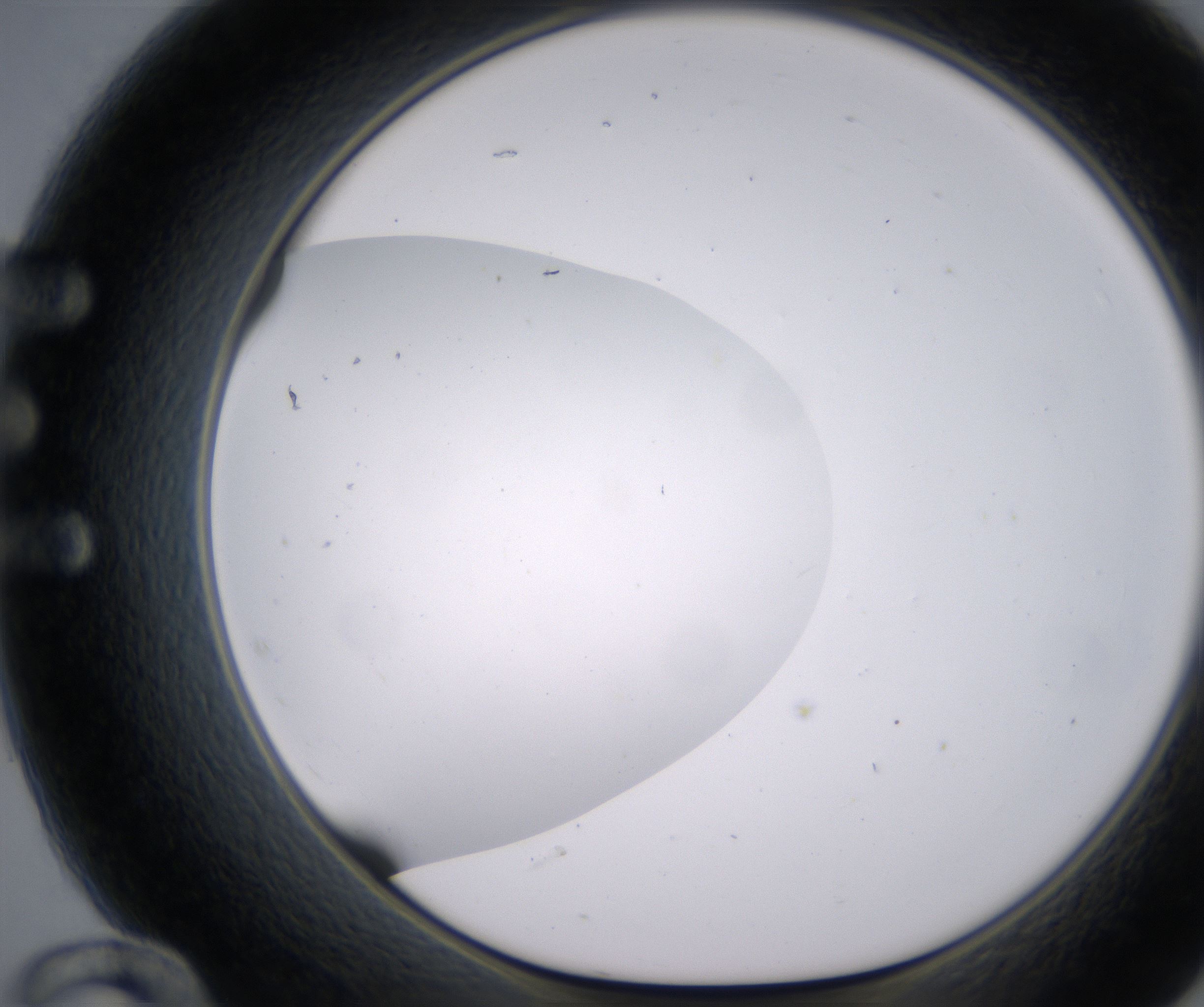 E12_HighResolution_Clear_1.jpg