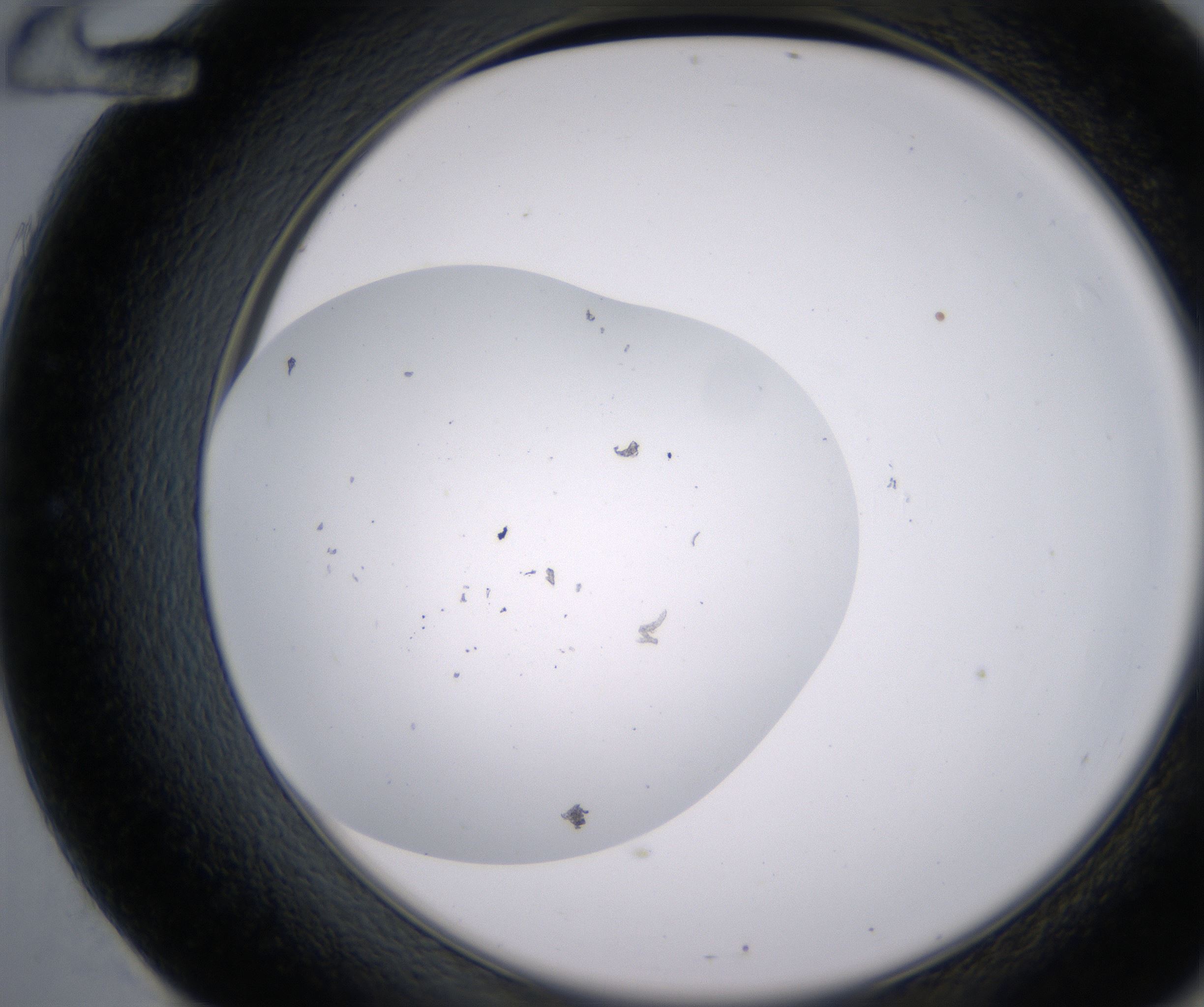 E12_HighResolution_Precipitate_2.jpg