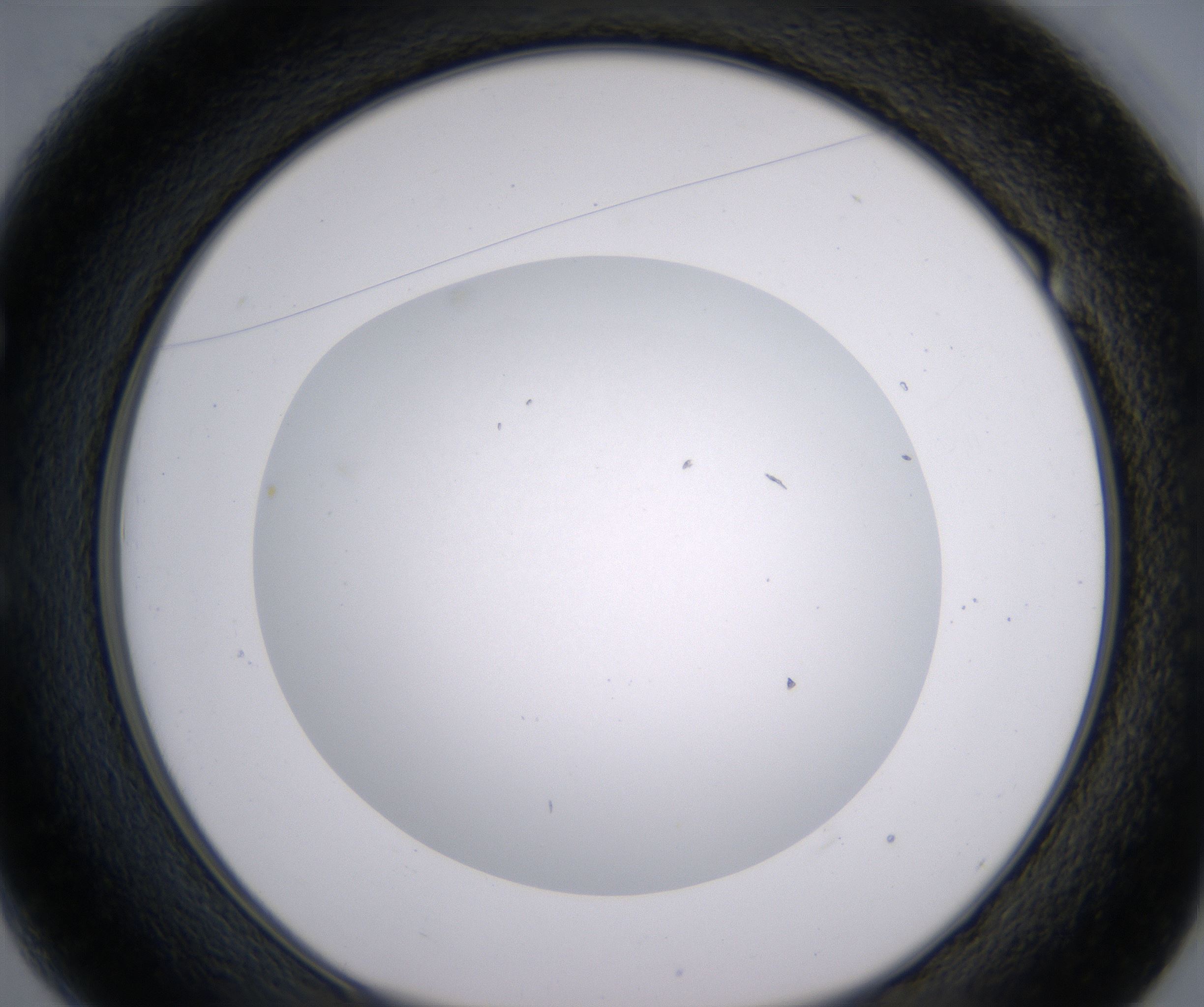 E1_HighResolution_Clear_1.jpg