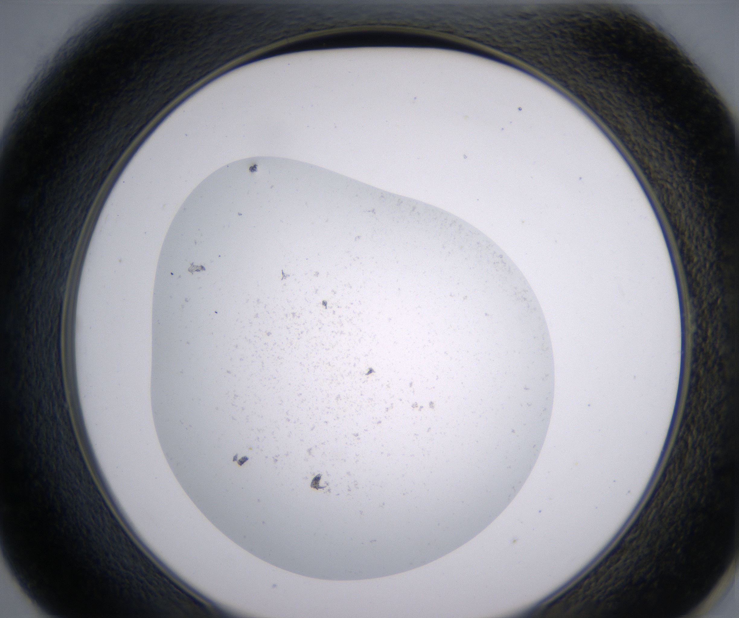 E1_HighResolution_Precipitate_2.jpg