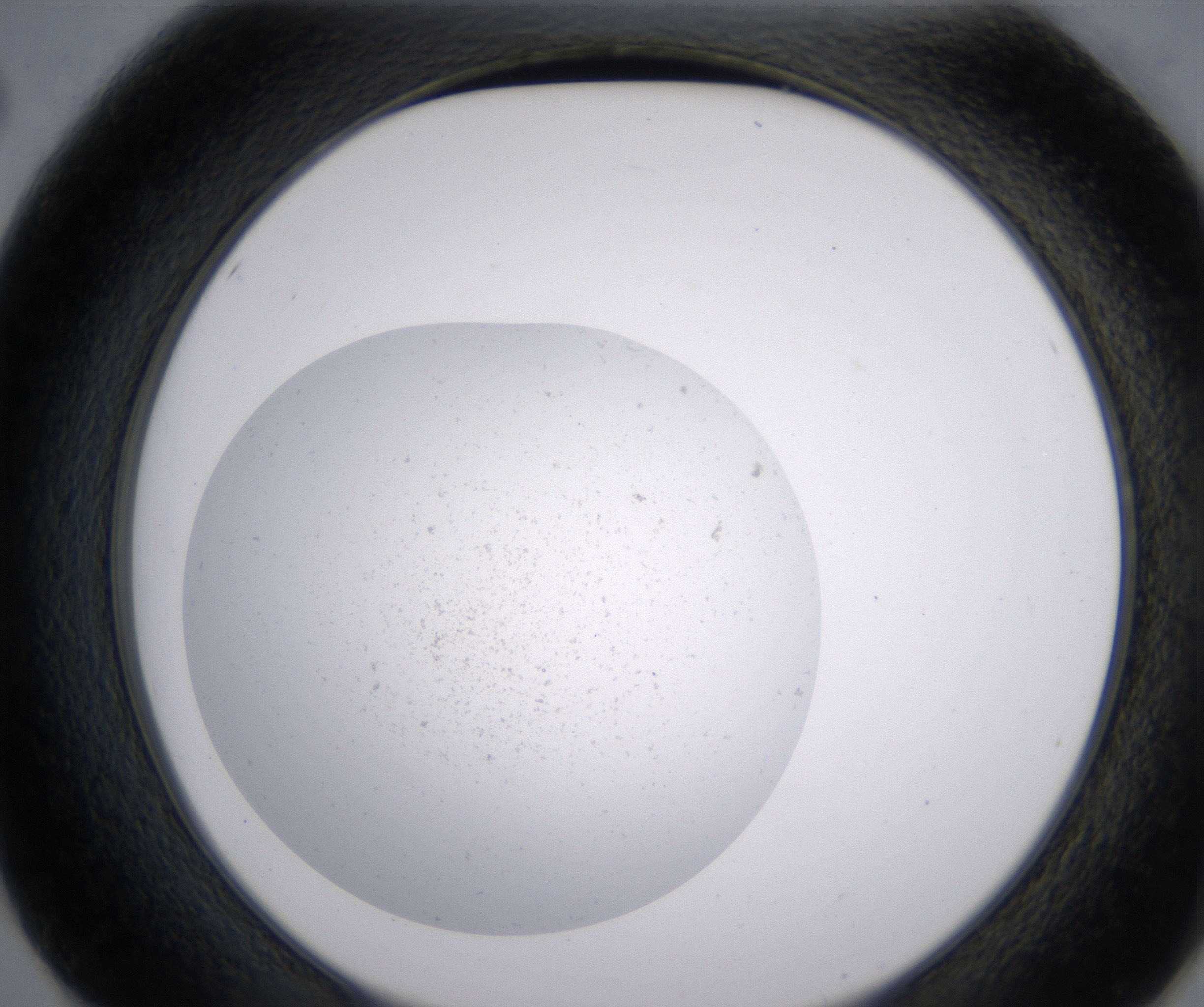 E2_HighResolution_Precipitate_2.jpg