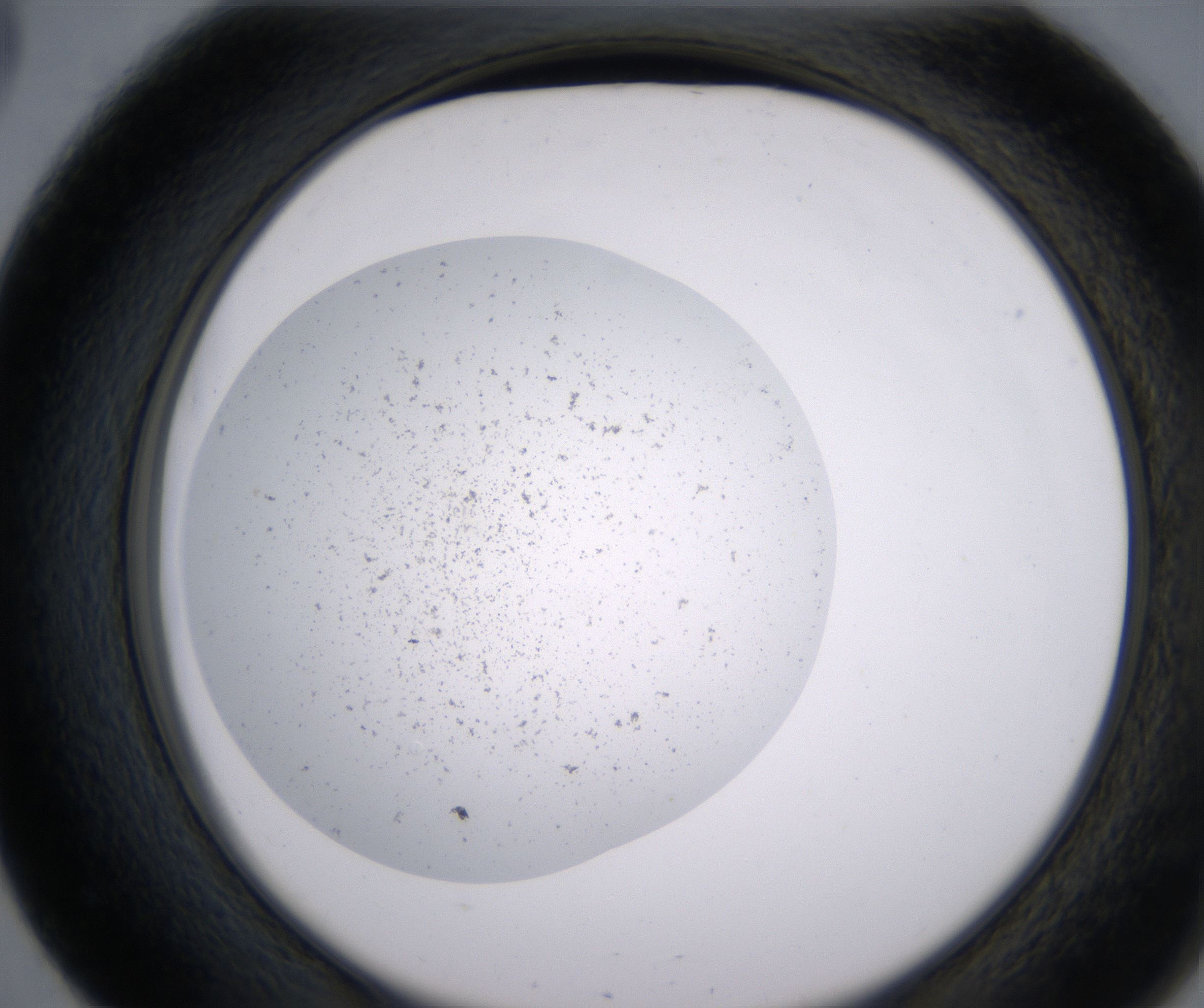 E3_HighResolution_Precipitate_2.jpg