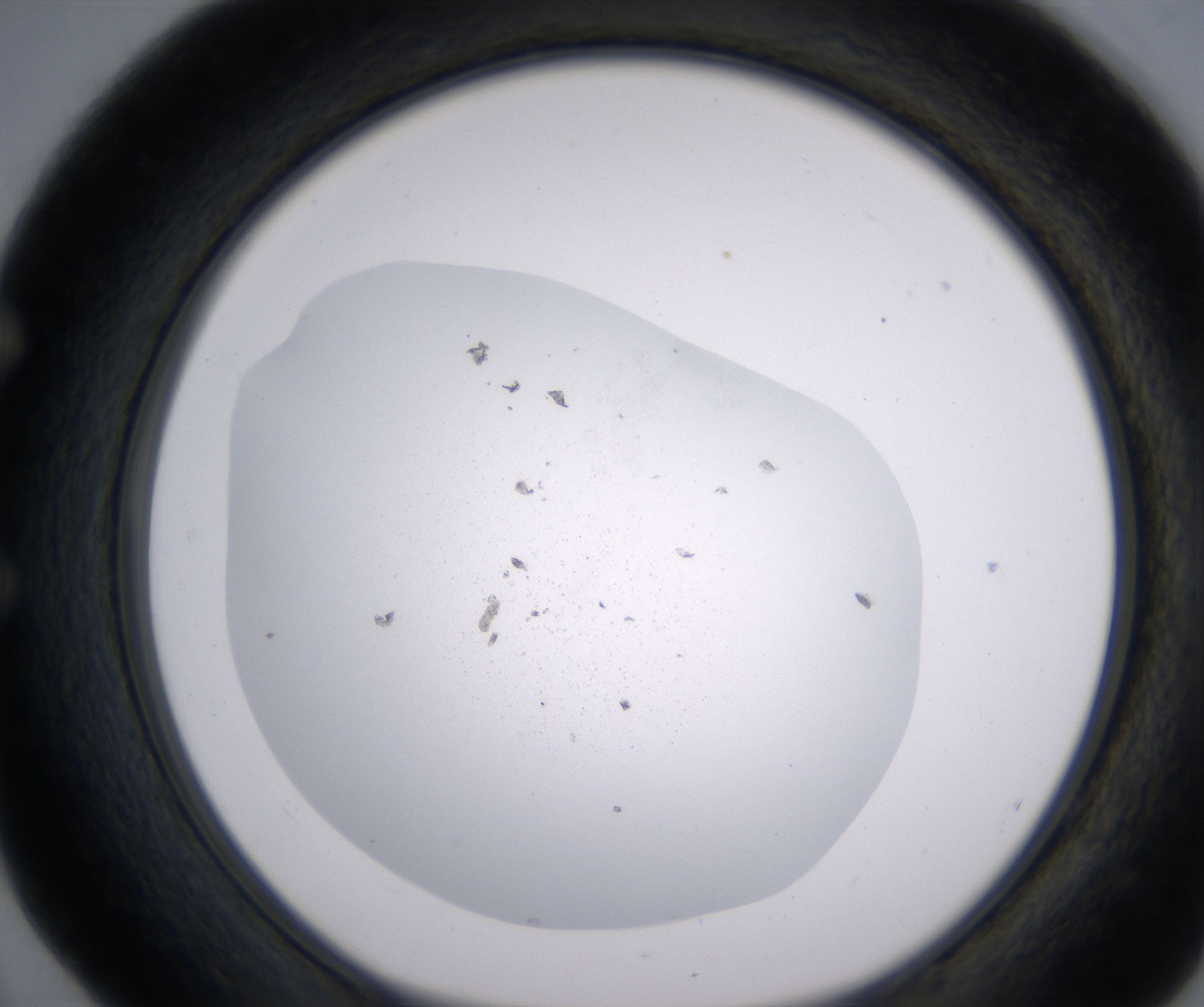 E4_HighResolution_Precipitate_1.jpg