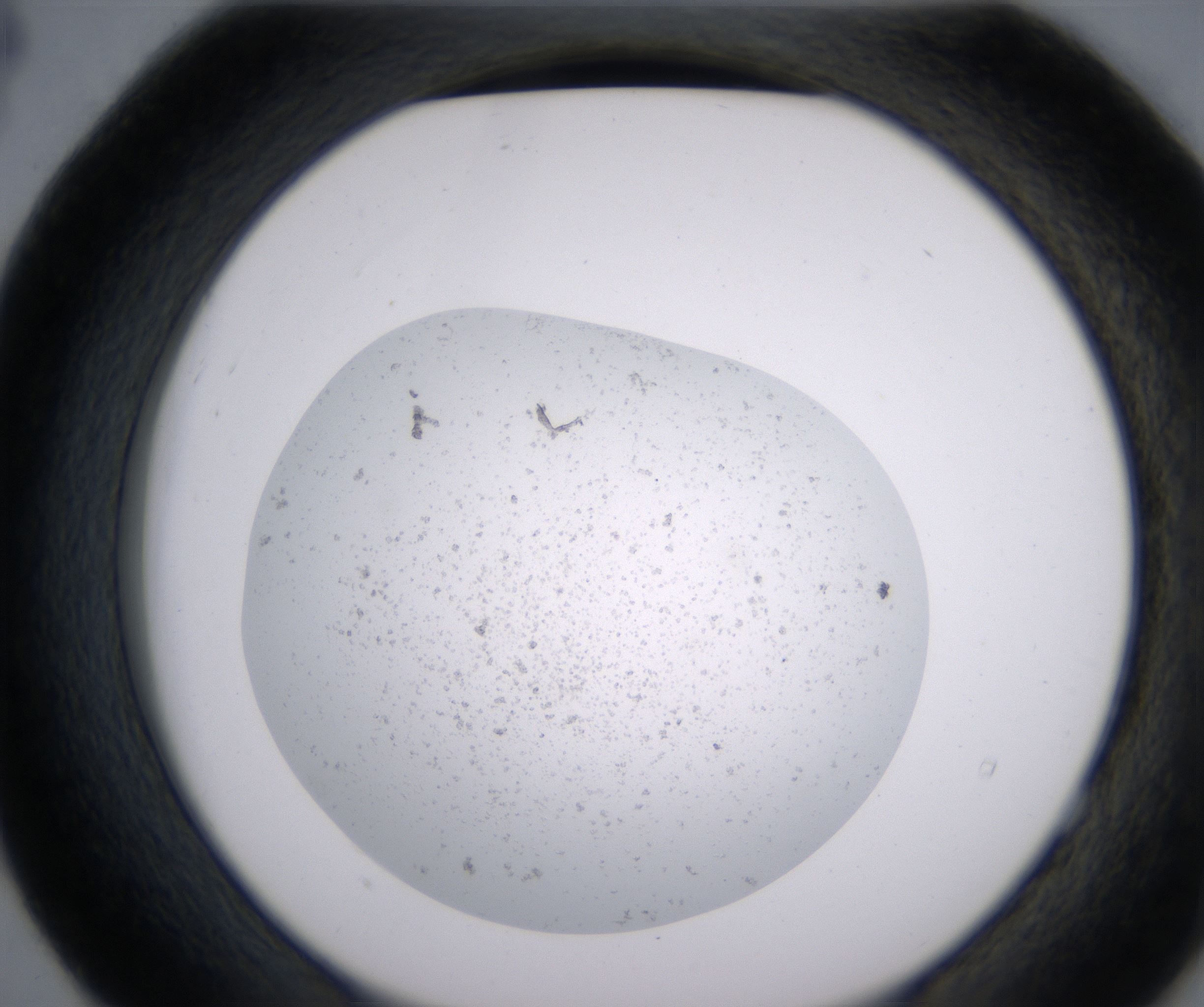 E4_HighResolution_Precipitate_2.jpg