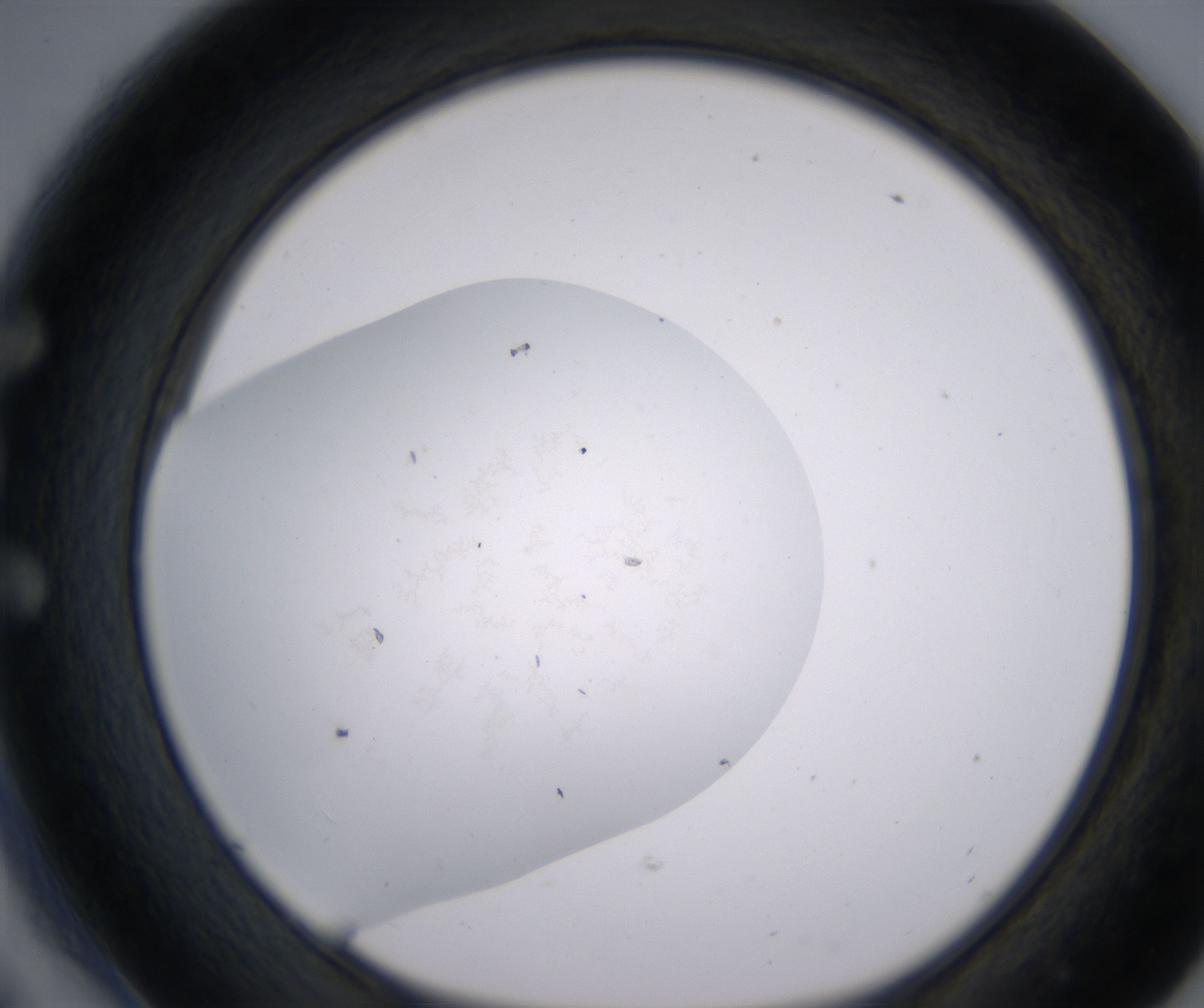 E6_HighResolution_Precipitate_1.jpg