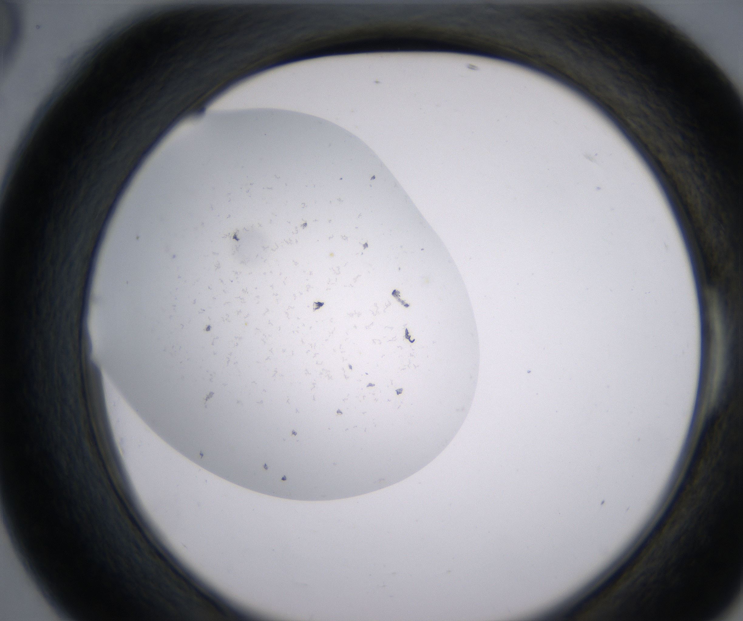E6_HighResolution_Precipitate_2.jpg