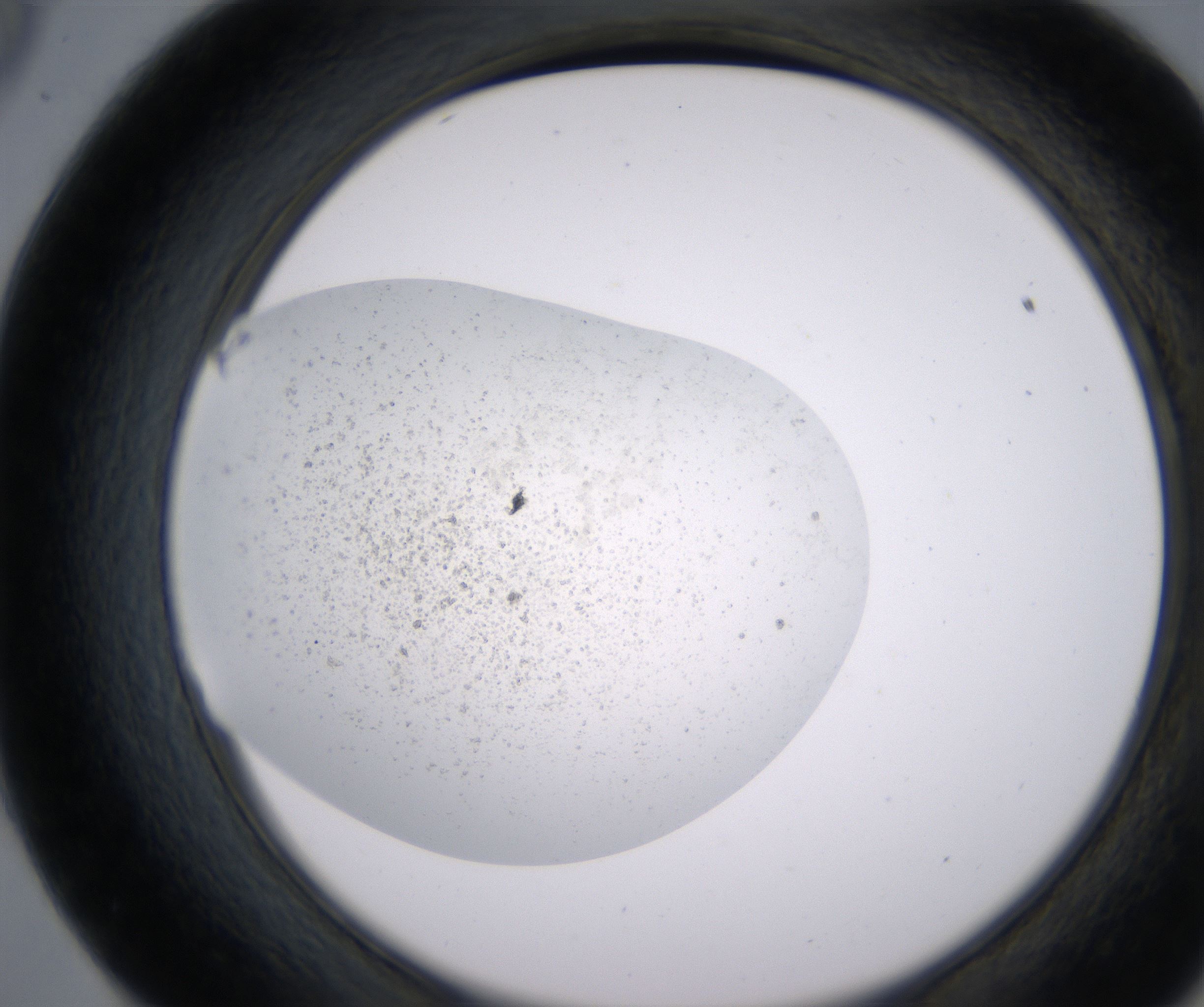 E9_HighResolution_Precipitate_2.jpg