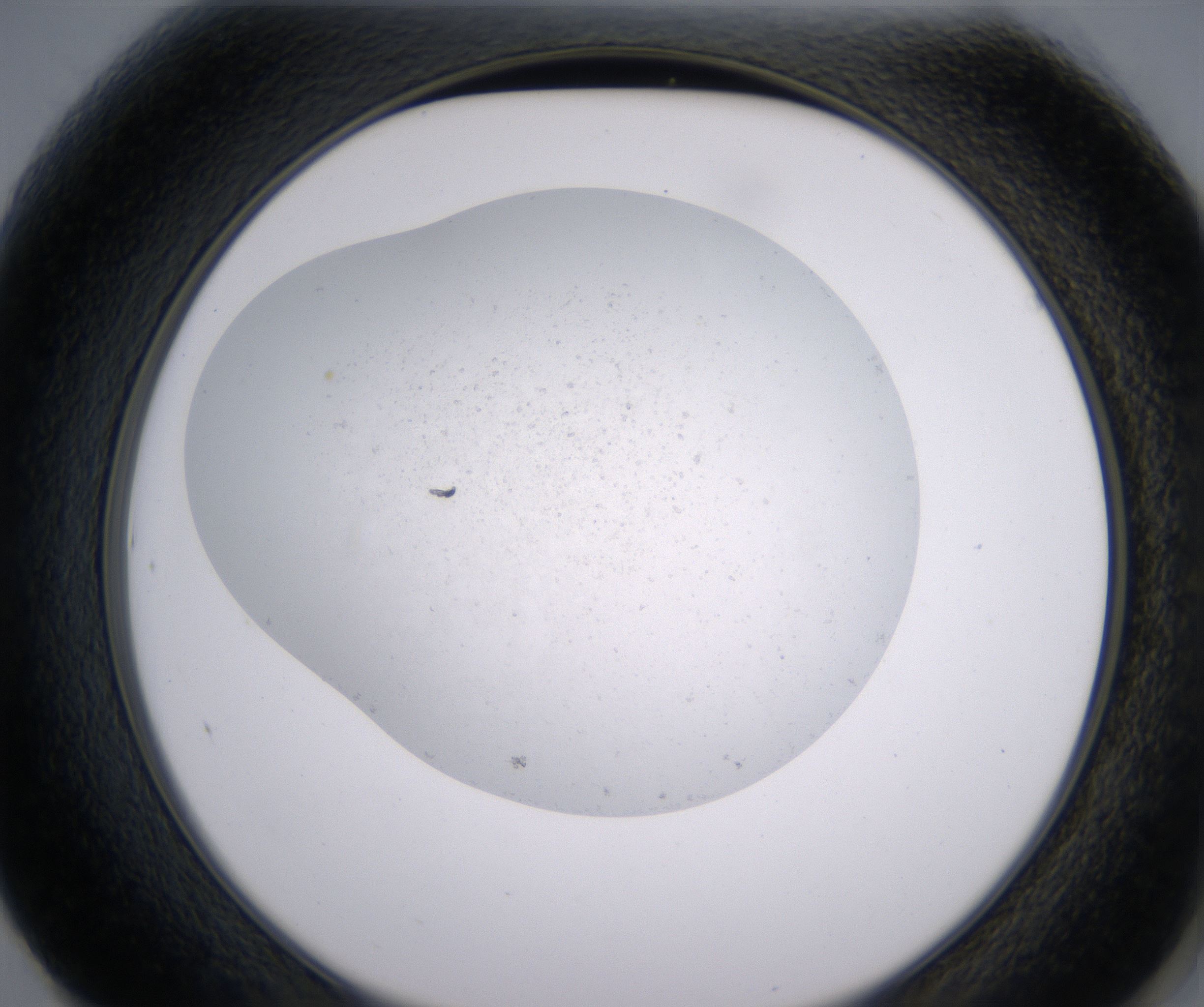 F1_HighResolution_Precipitate_2.jpg