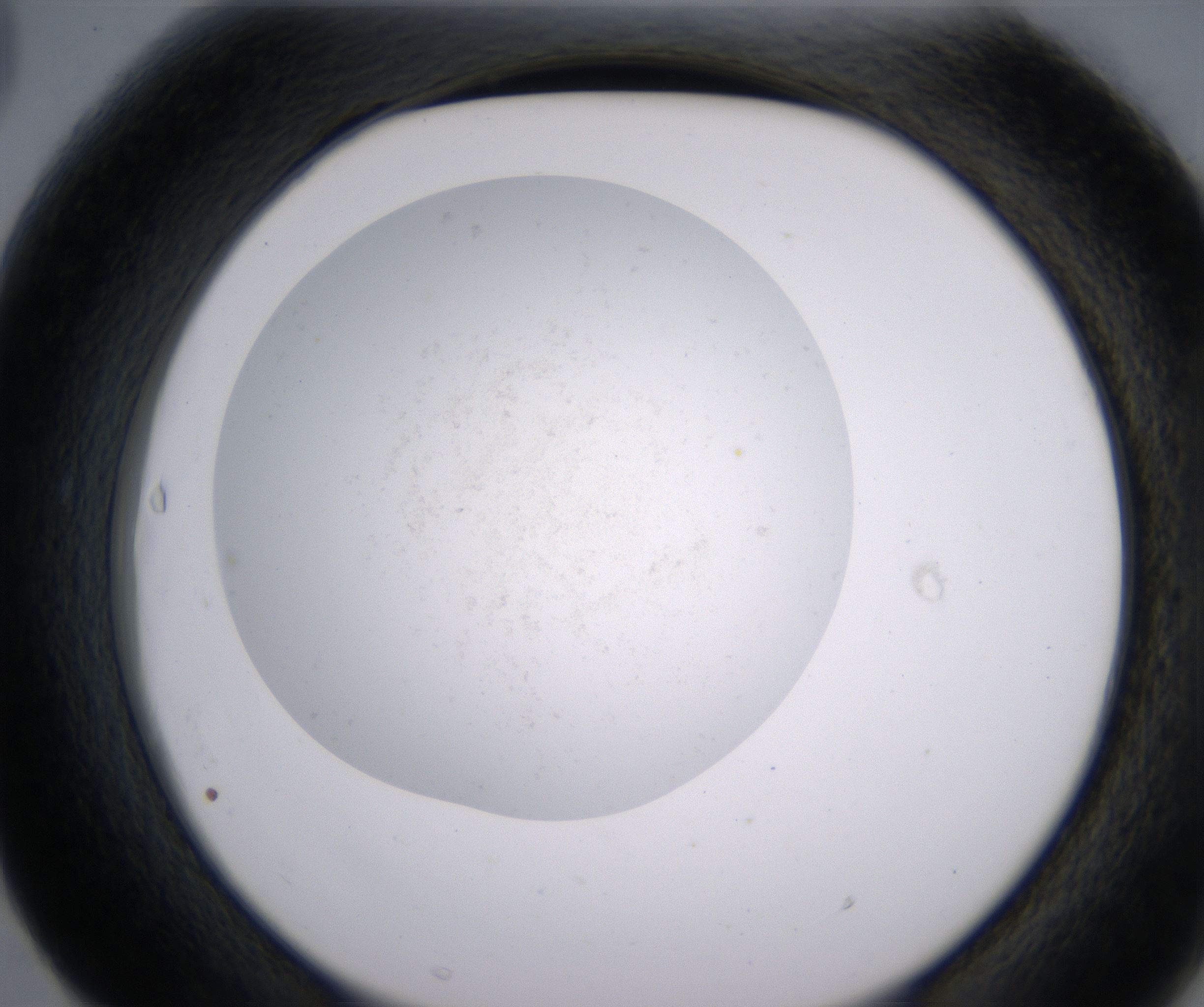 F3_HighResolution_Precipitate_2.jpg