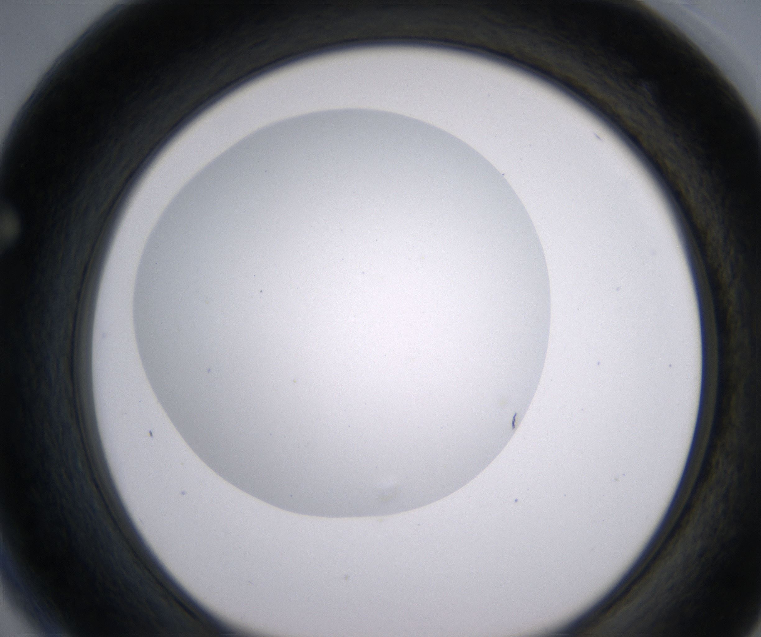 F4_HighResolution_Clear_1.jpg