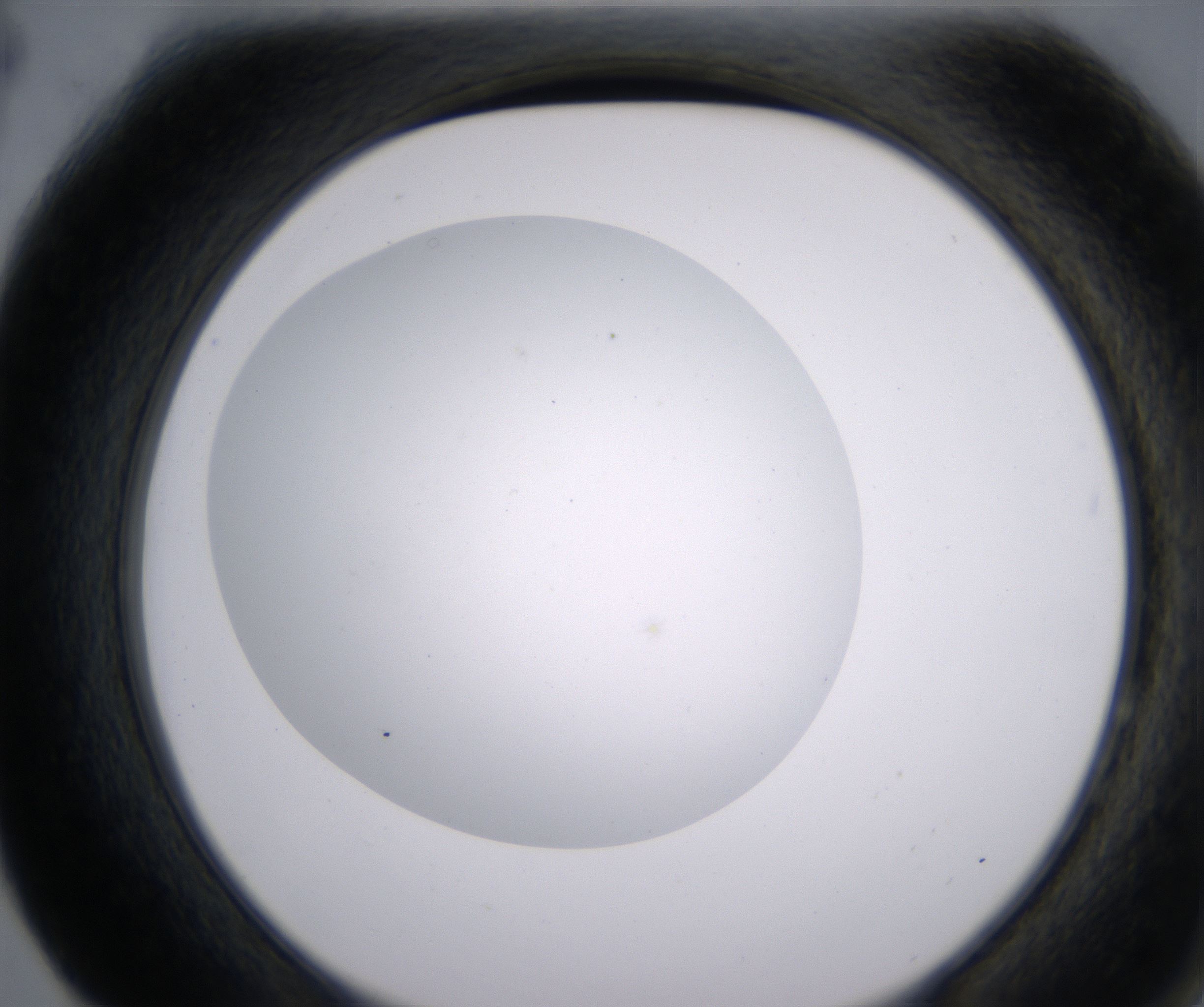 F4_HighResolution_Clear_2.jpg