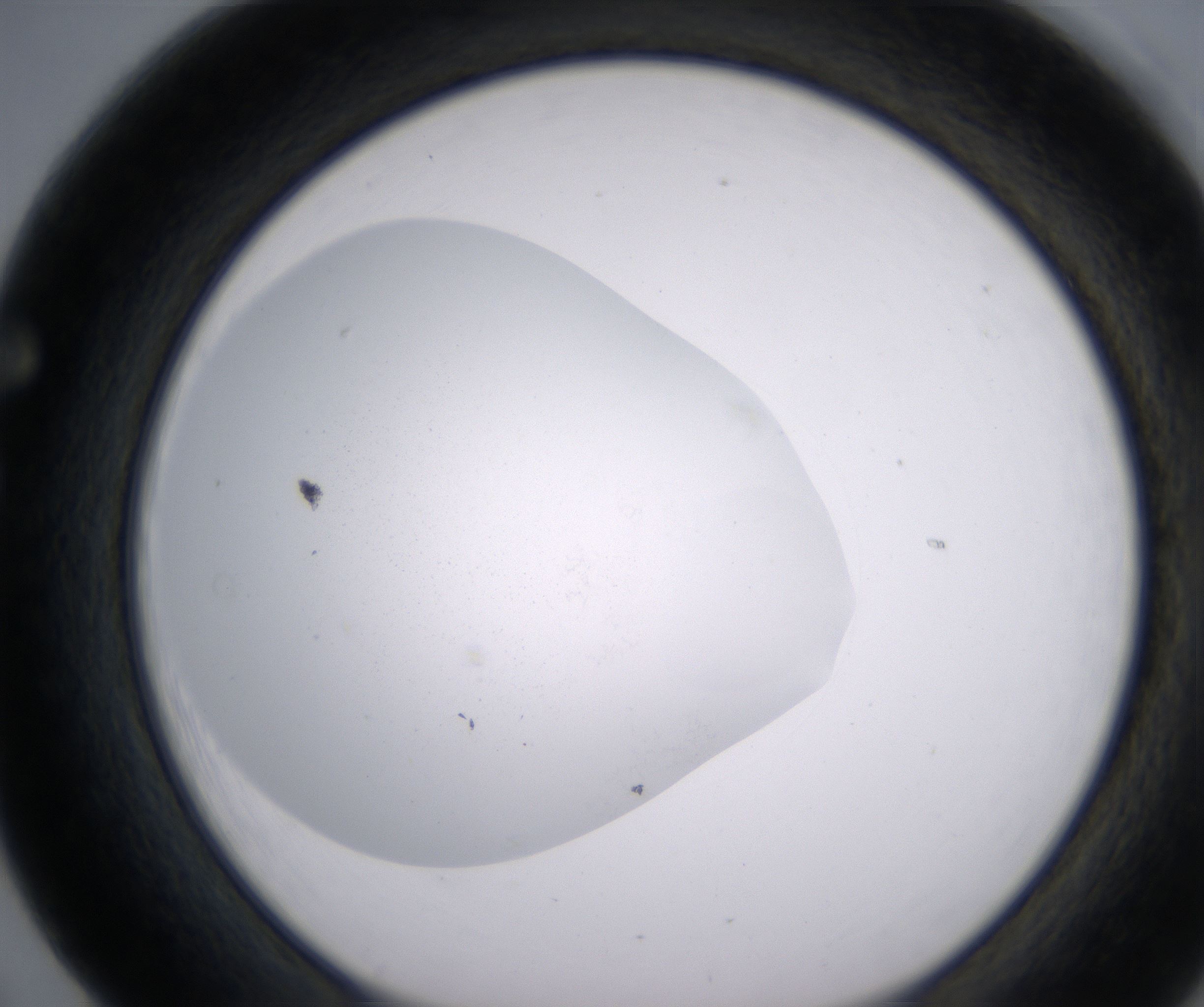 F5_HighResolution_Clear_1.jpg
