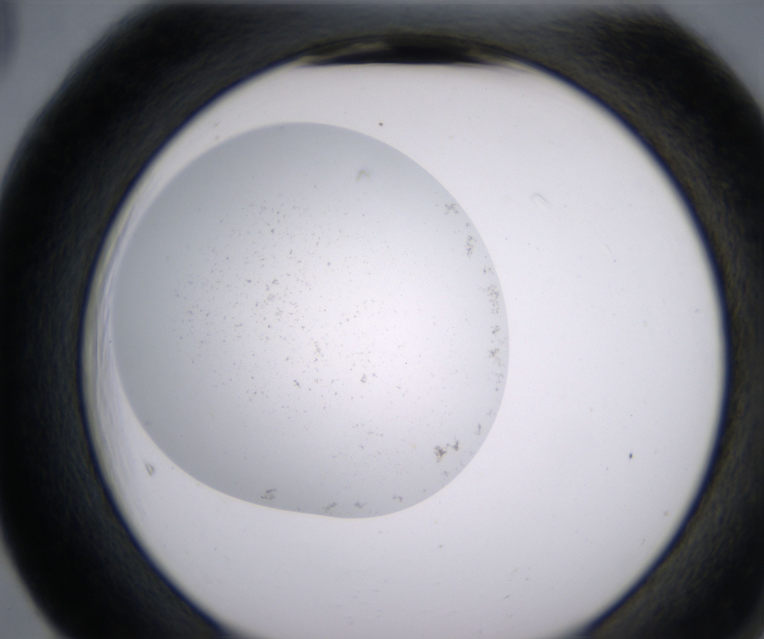 F5_HighResolution_Precipitate_2.jpg