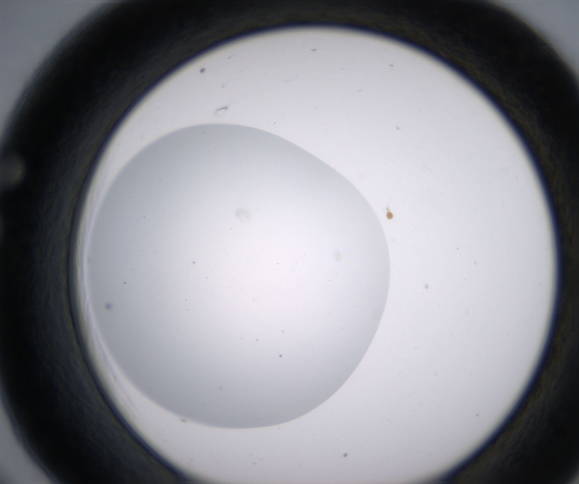 F6_HighResolution_Clear_1.jpg