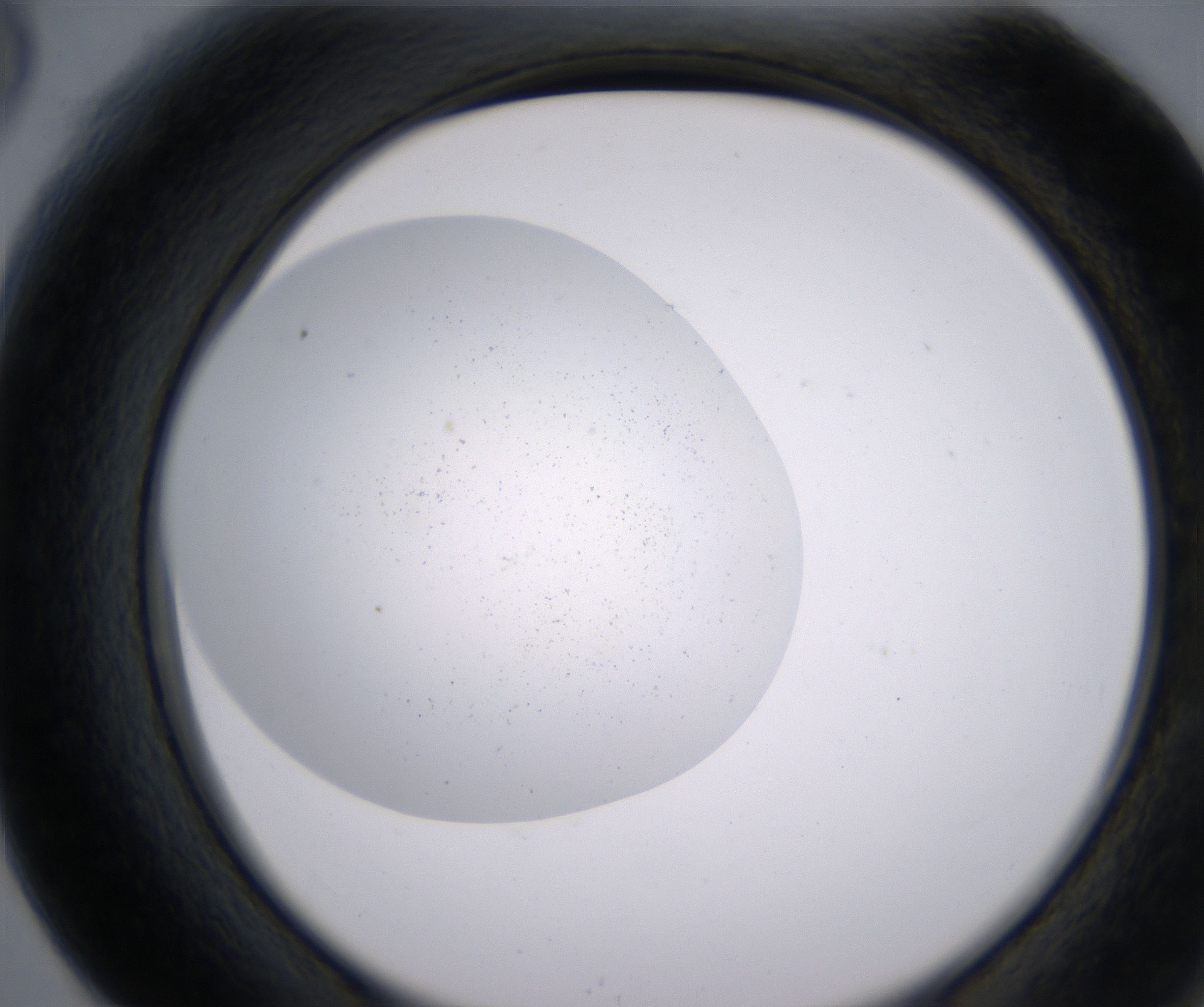 F6_HighResolution_Precipitate_2.jpg