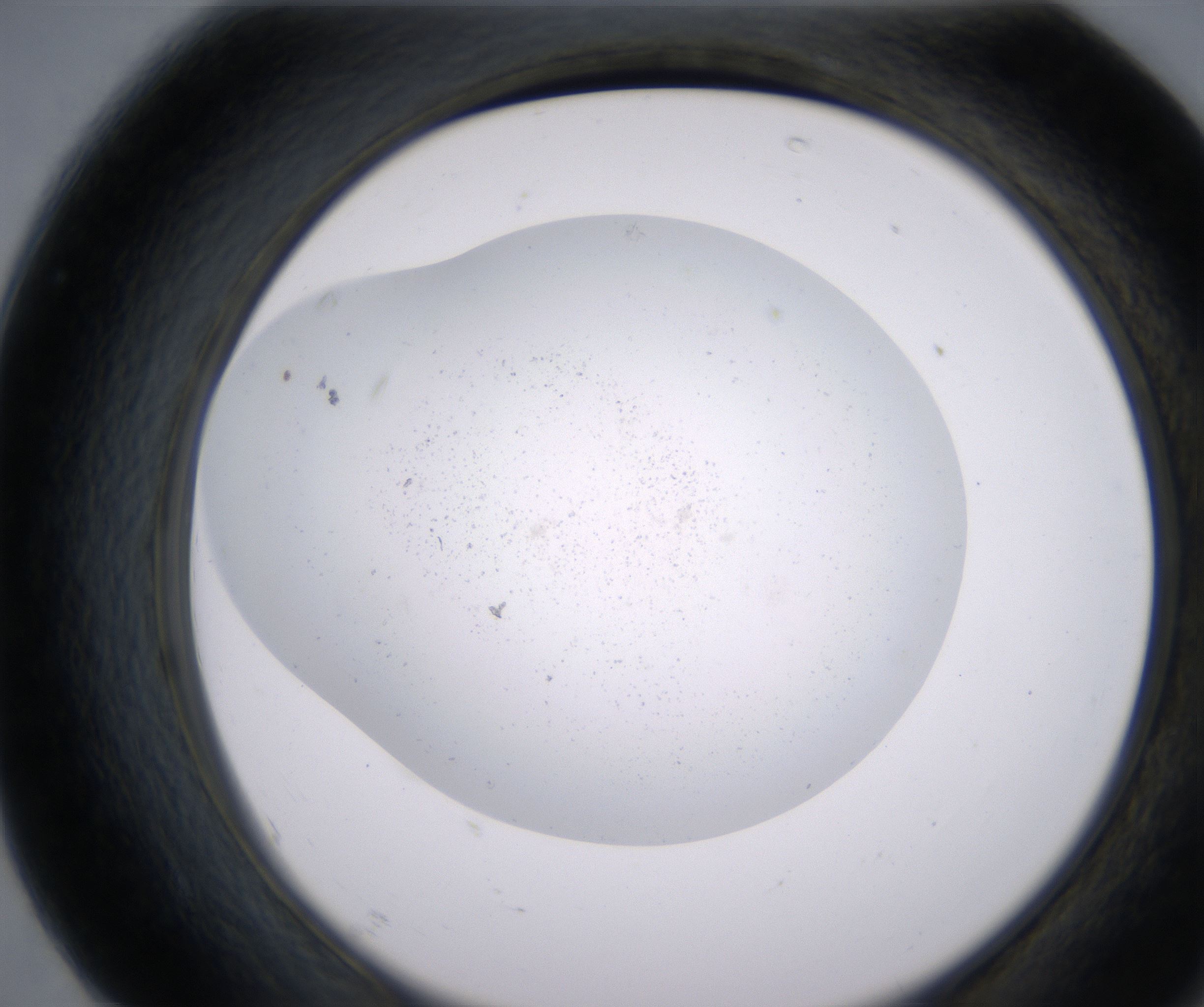 F7_HighResolution_Precipitate_2.jpg