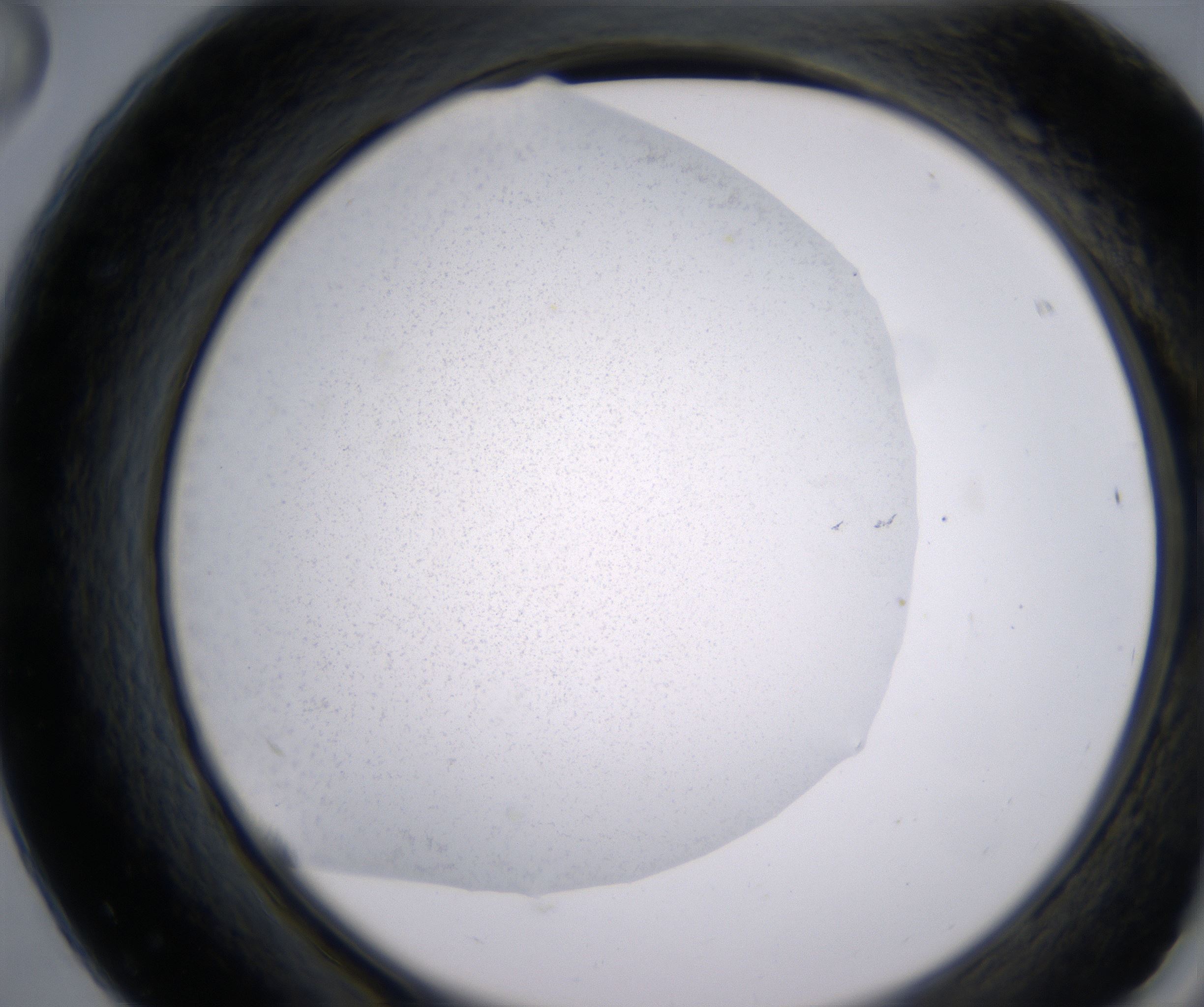 F8_HighResolution_Precipitate_2.jpg