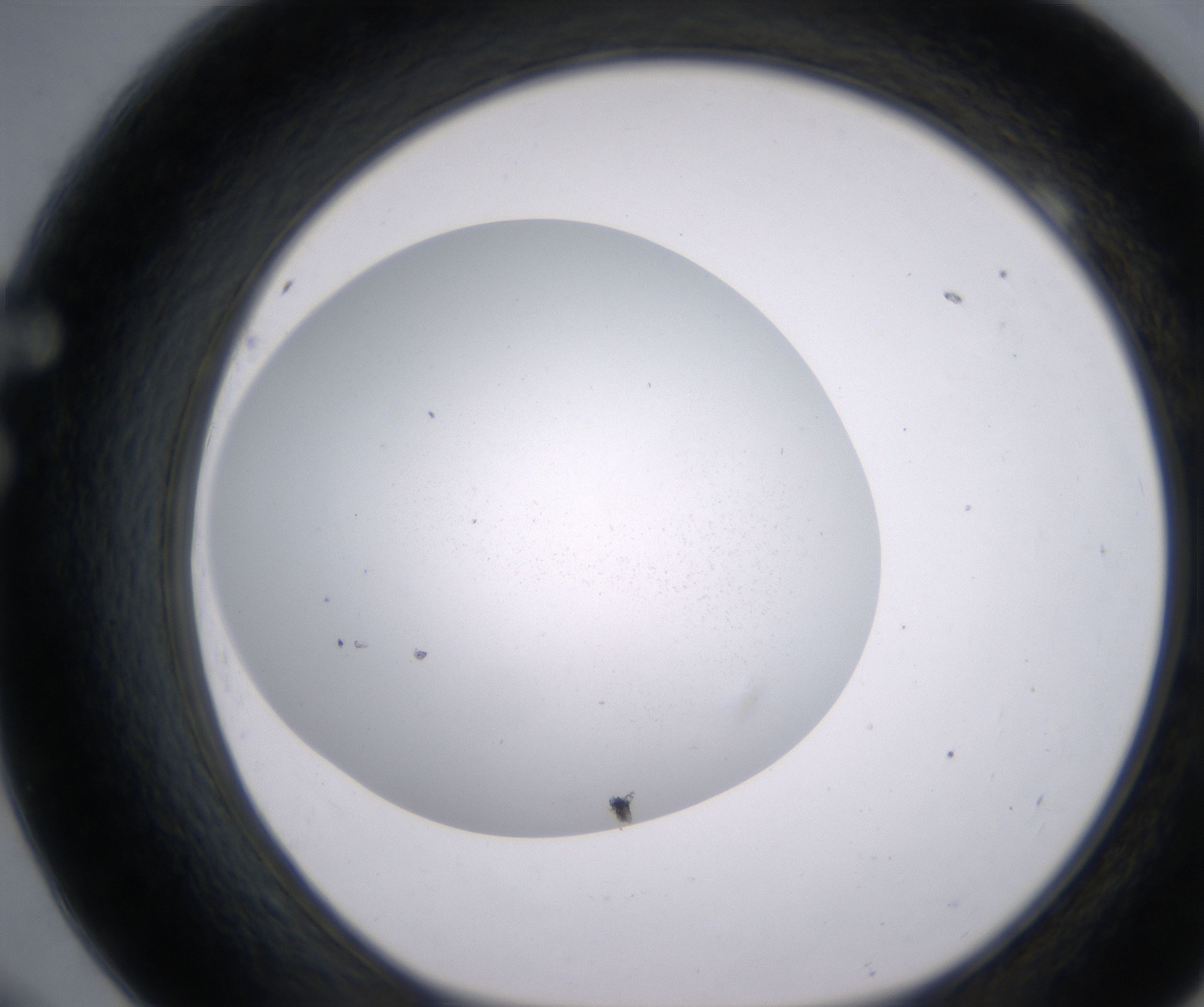 F9_HighResolution_Precipitate_1.jpg