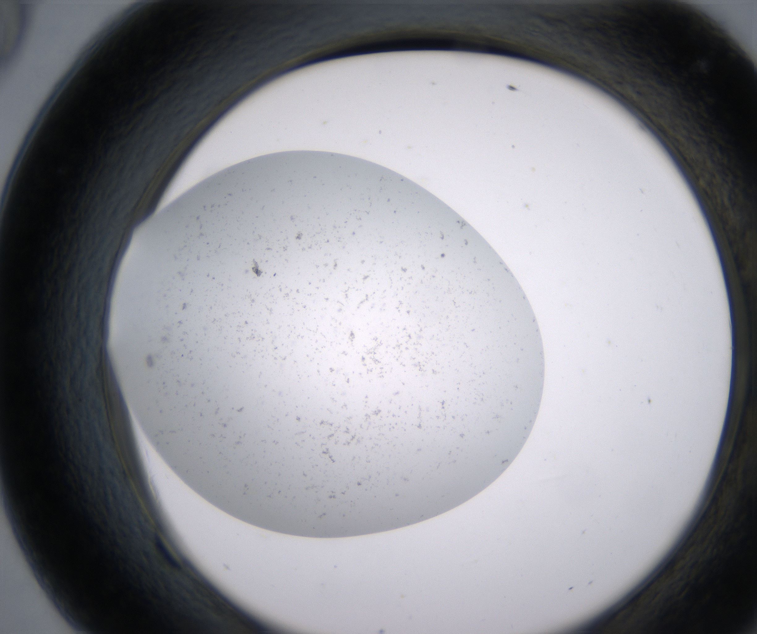 F9_HighResolution_Precipitate_2.jpg