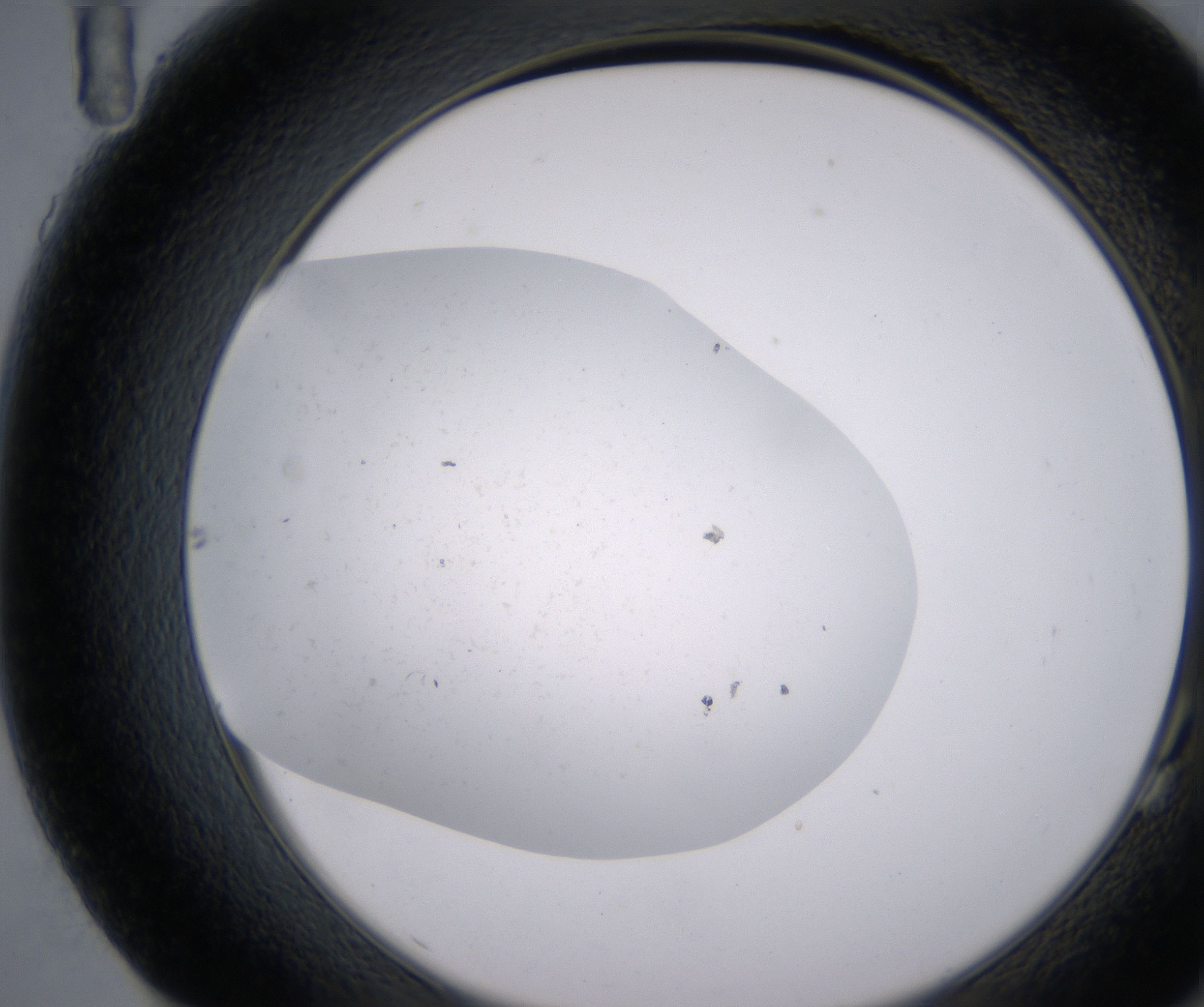 G11_HighResolution_Precipitate_2.jpg