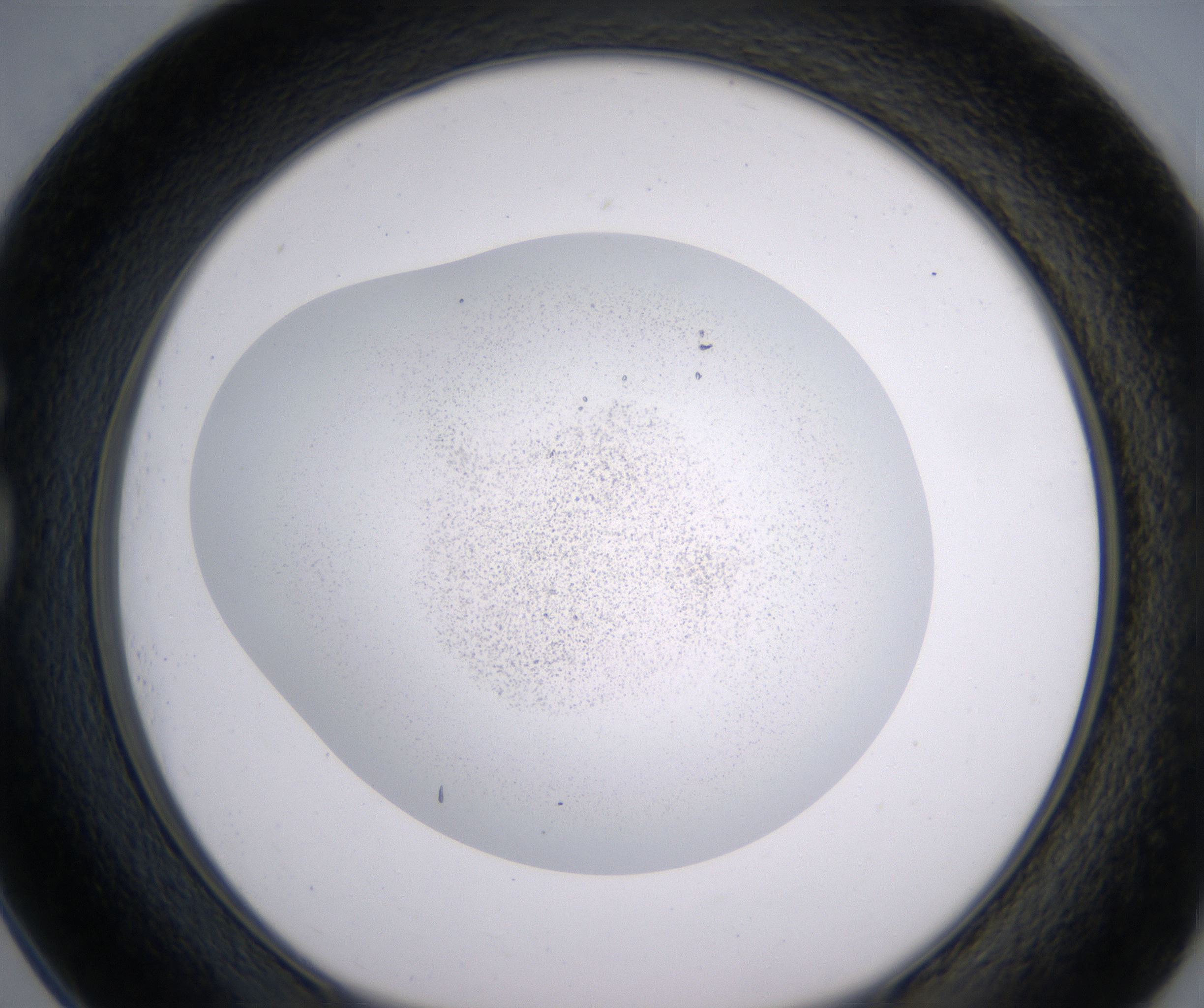 G1_HighResolution_Precipitate_1.jpg