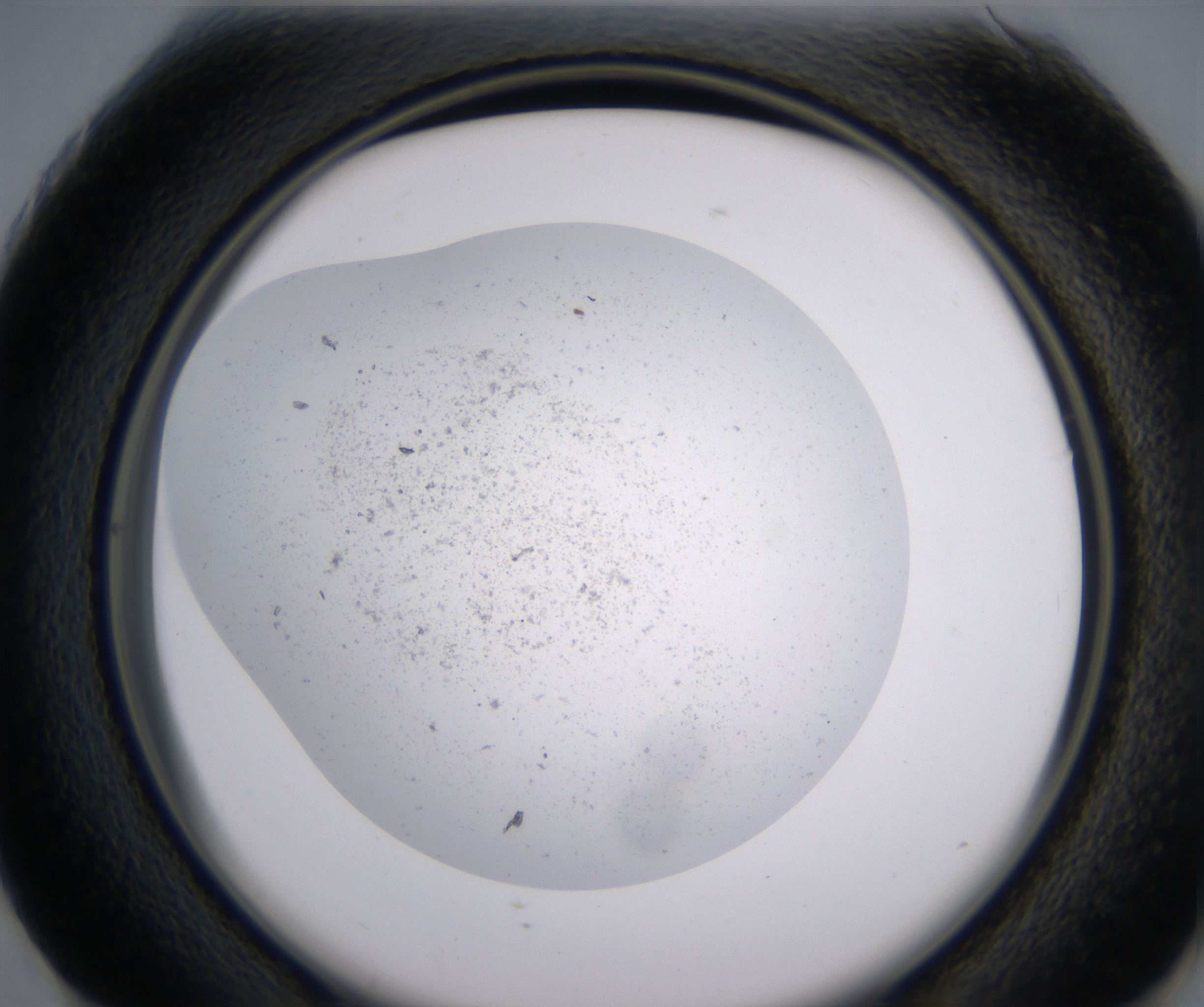 G1_HighResolution_Precipitate_2.jpg