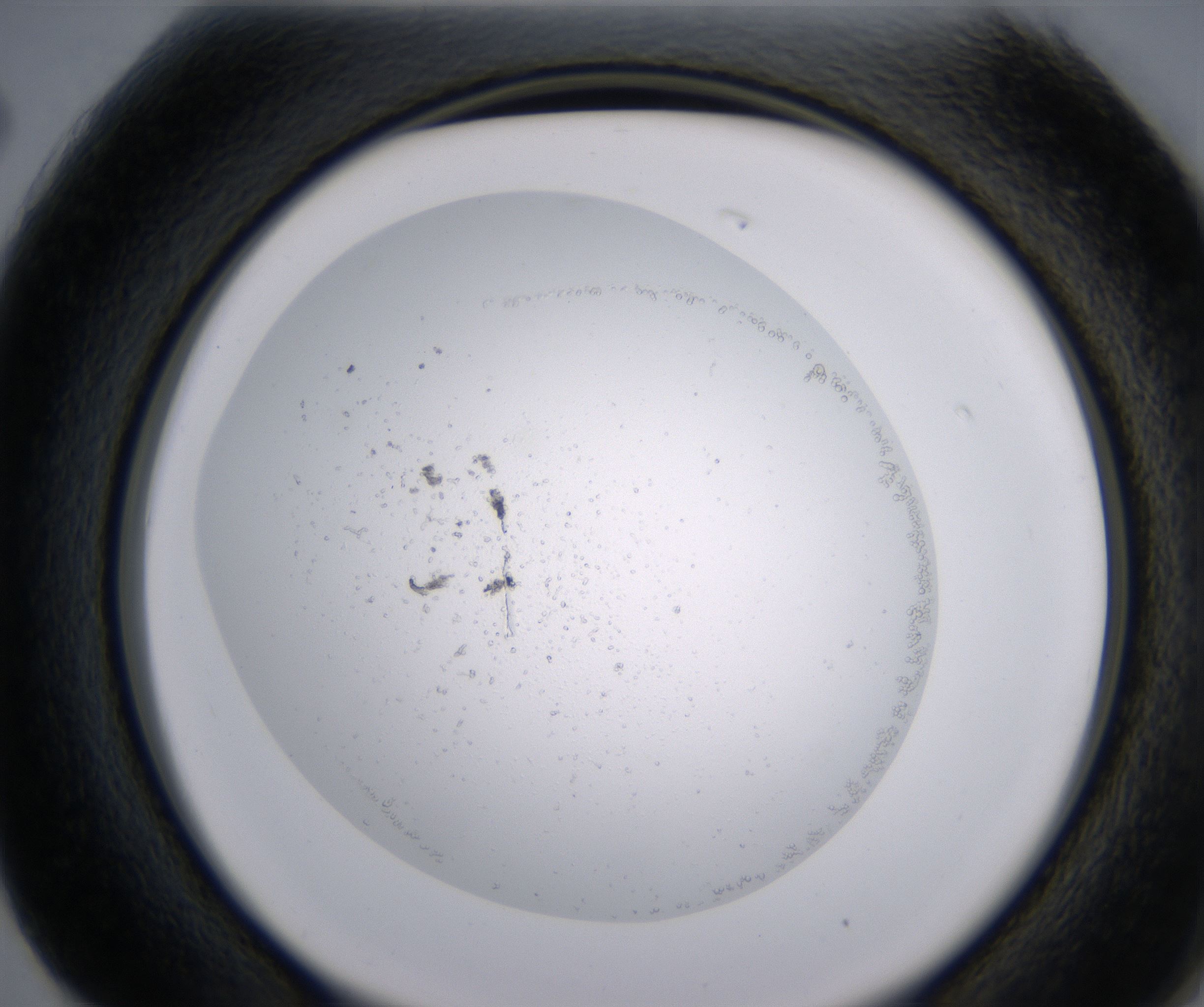 G2_HighResolution_Precipitate_2.jpg