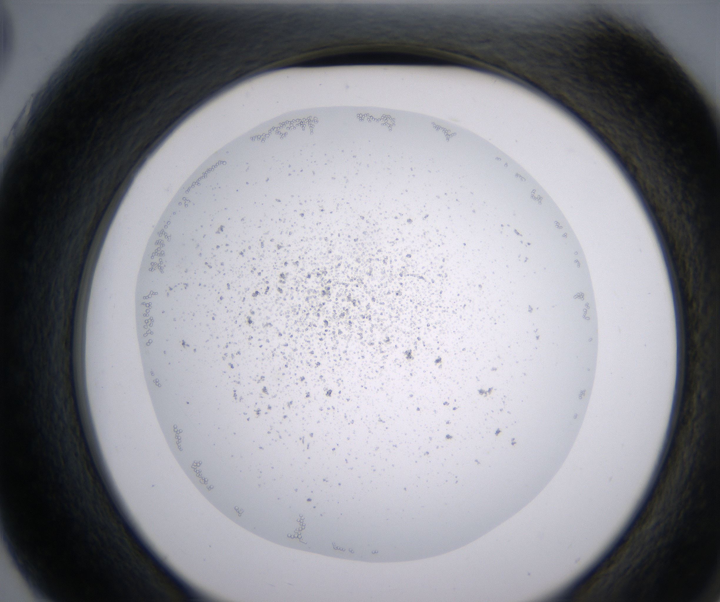 G3_HighResolution_Precipitate_2.jpg