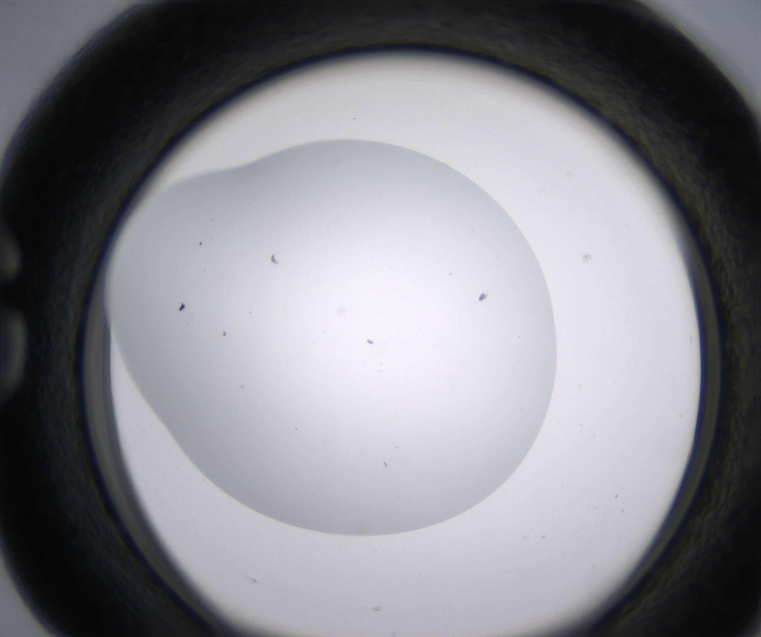 G4_HighResolution_Clear_1.jpg