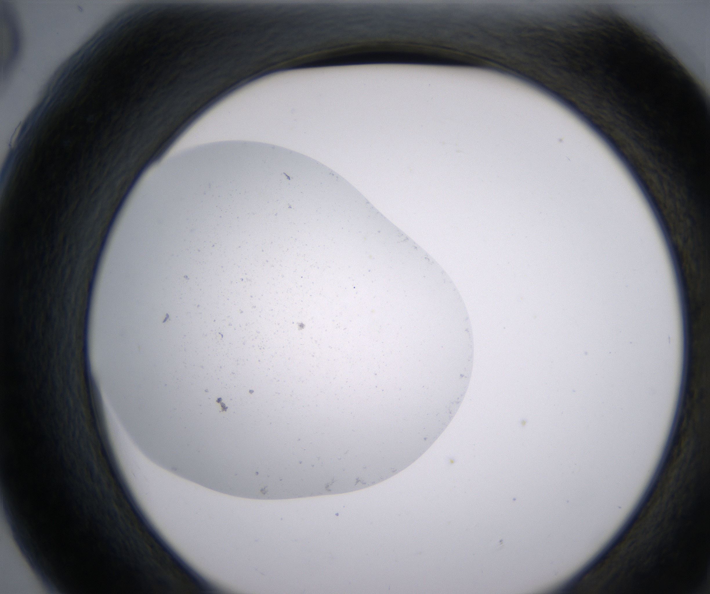 G6_HighResolution_Precipitate_2.jpg