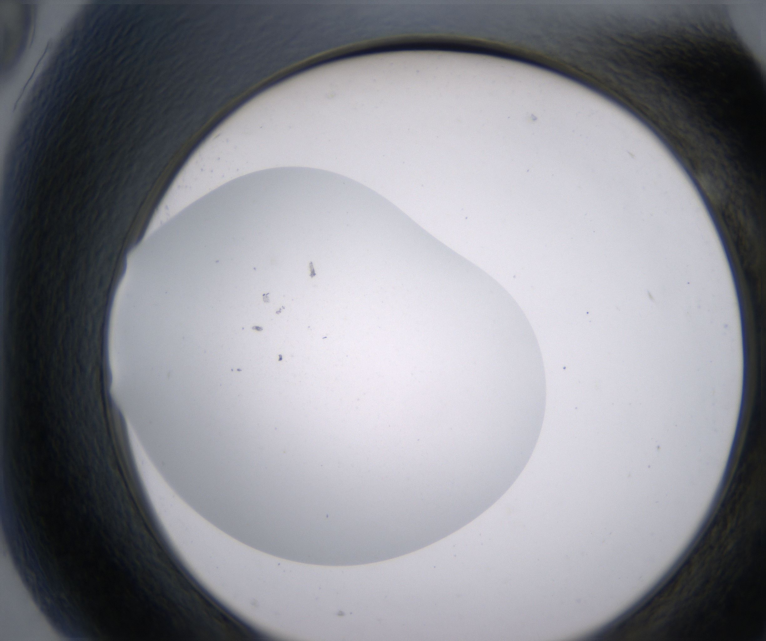 G9_HighResolution_Clear_2.jpg