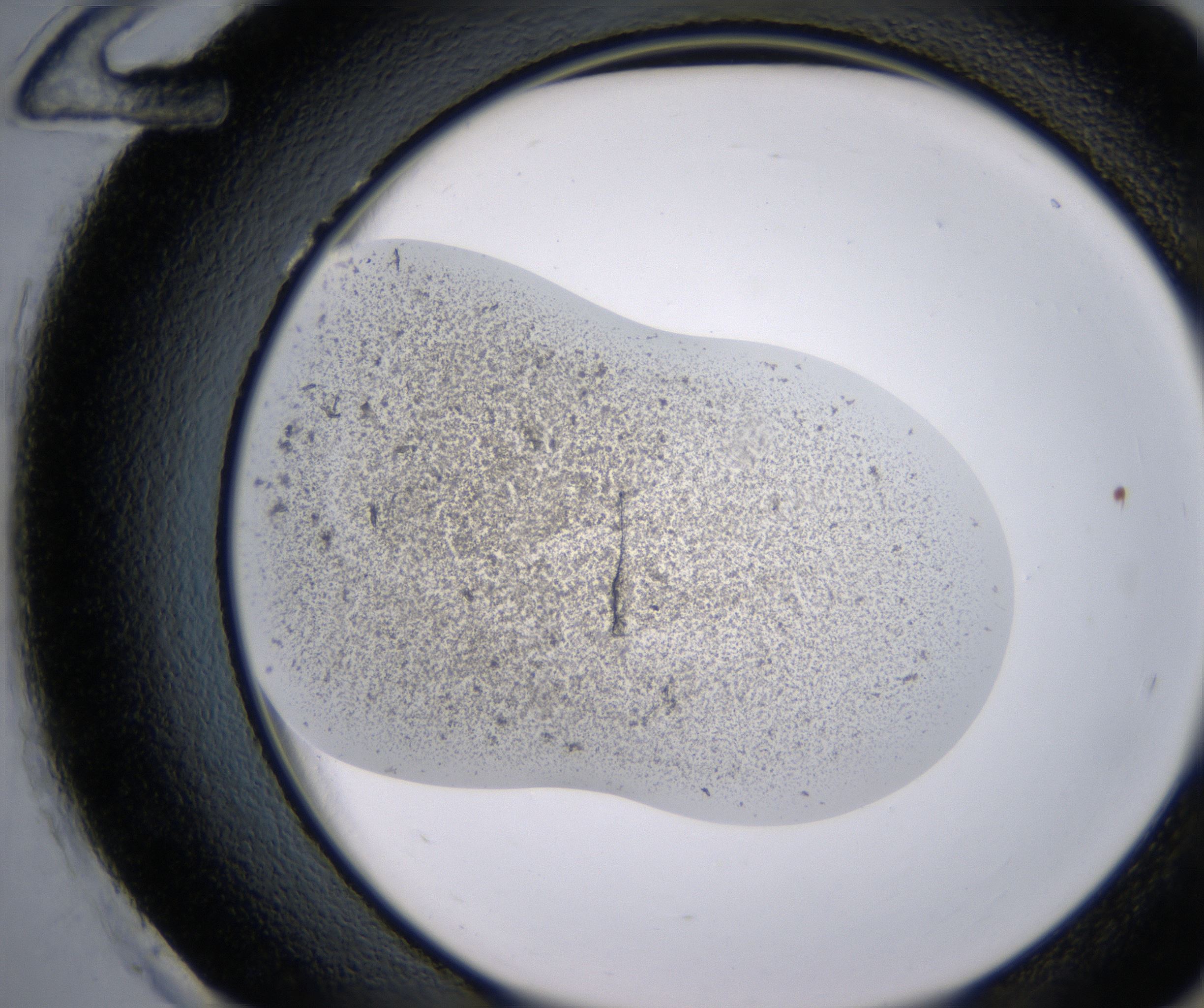 H12_HighResolution_Precipitate_2.jpg