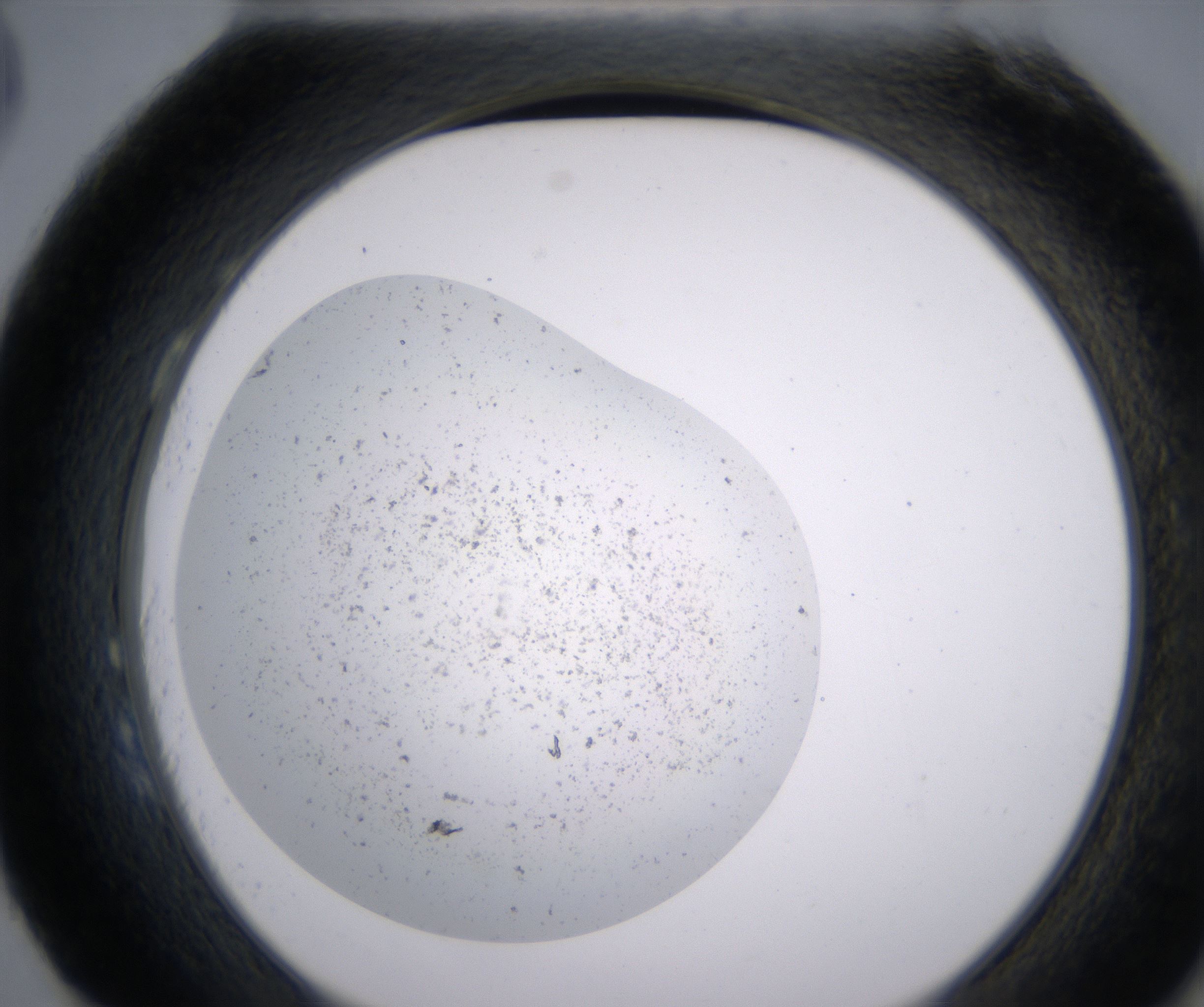 H3_HighResolution_Precipitate_2.jpg