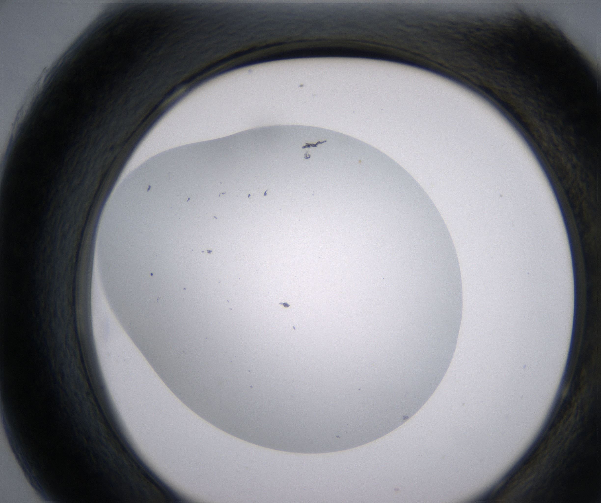 H7_HighResolution_Clear_2.jpg