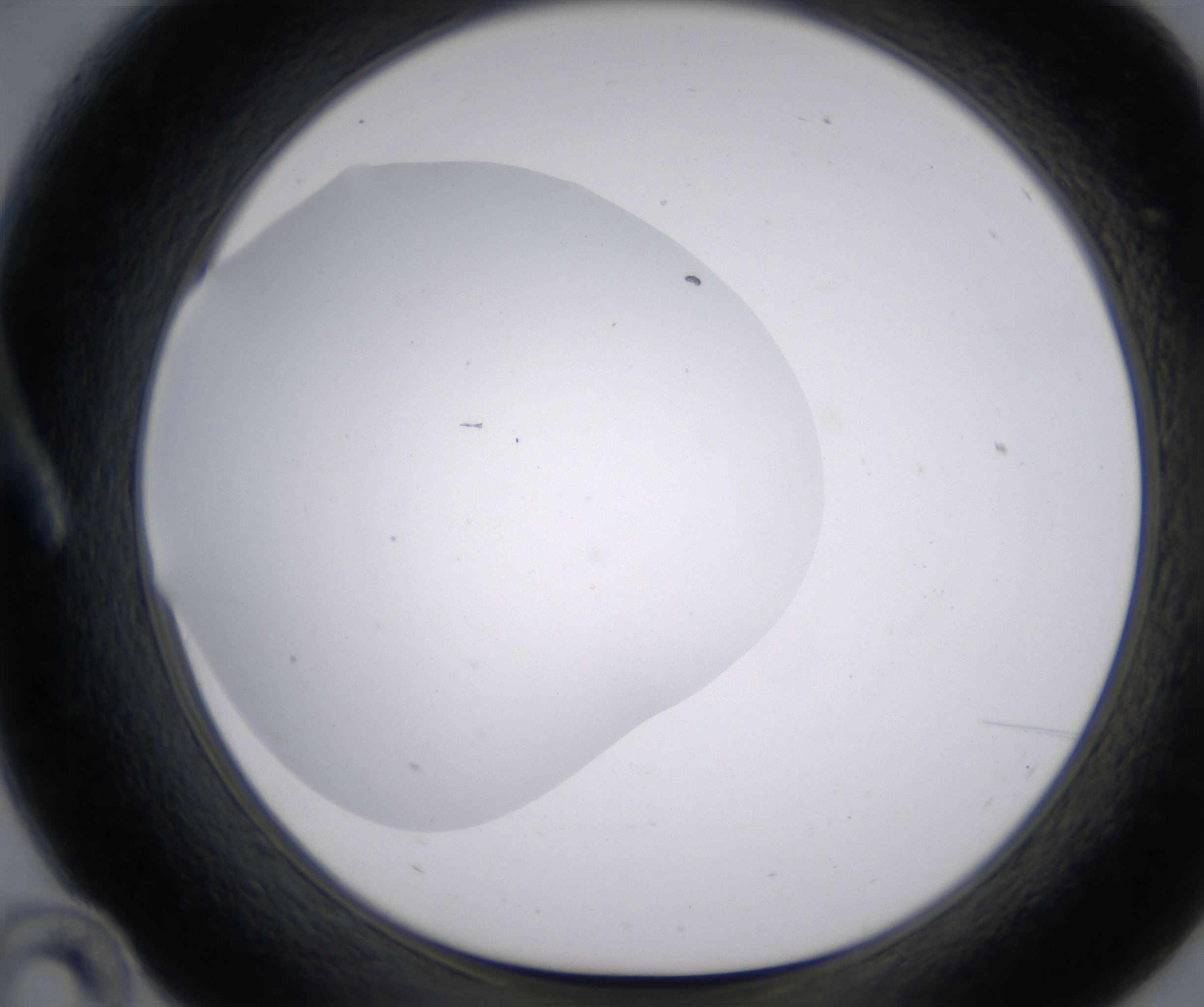 A10_HighResolution_Clear_1.jpg