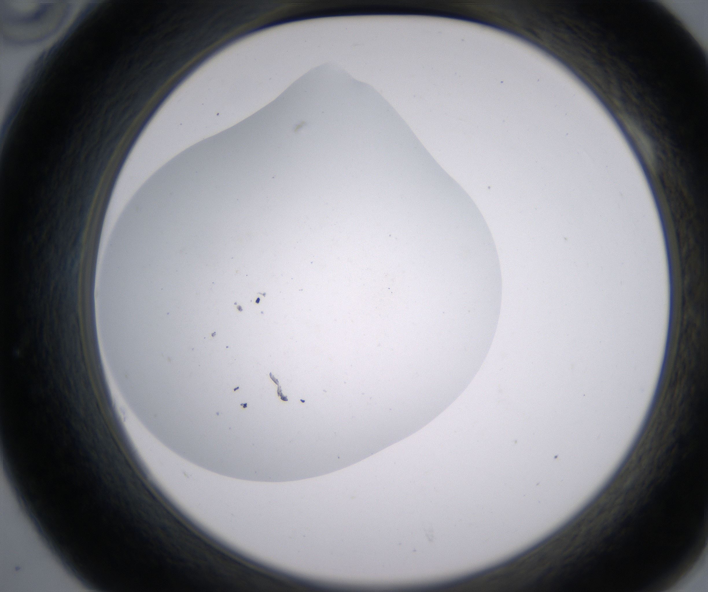 A10_HighResolution_Clear_2.jpg
