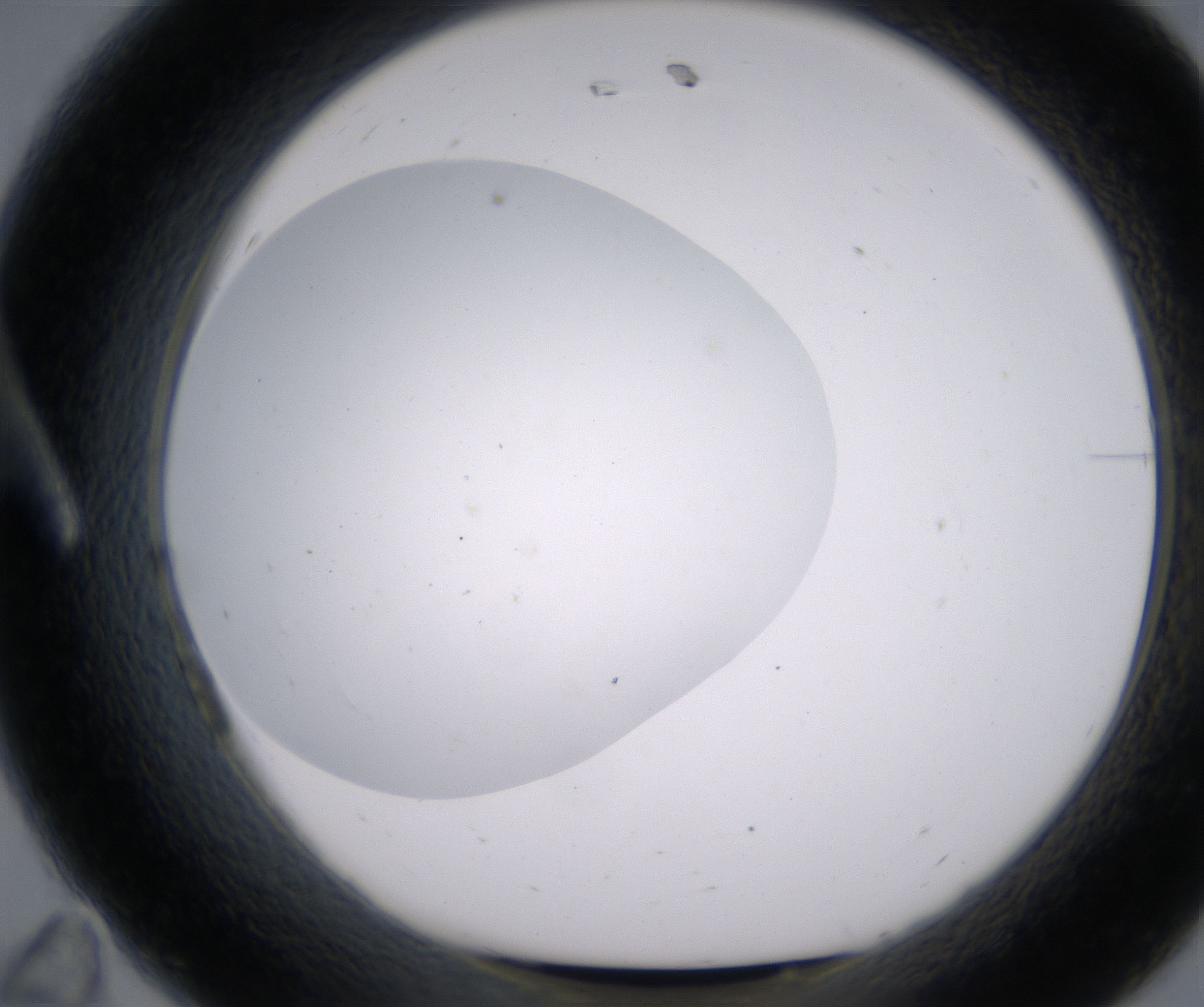 A11_HighResolution_Clear_1.jpg
