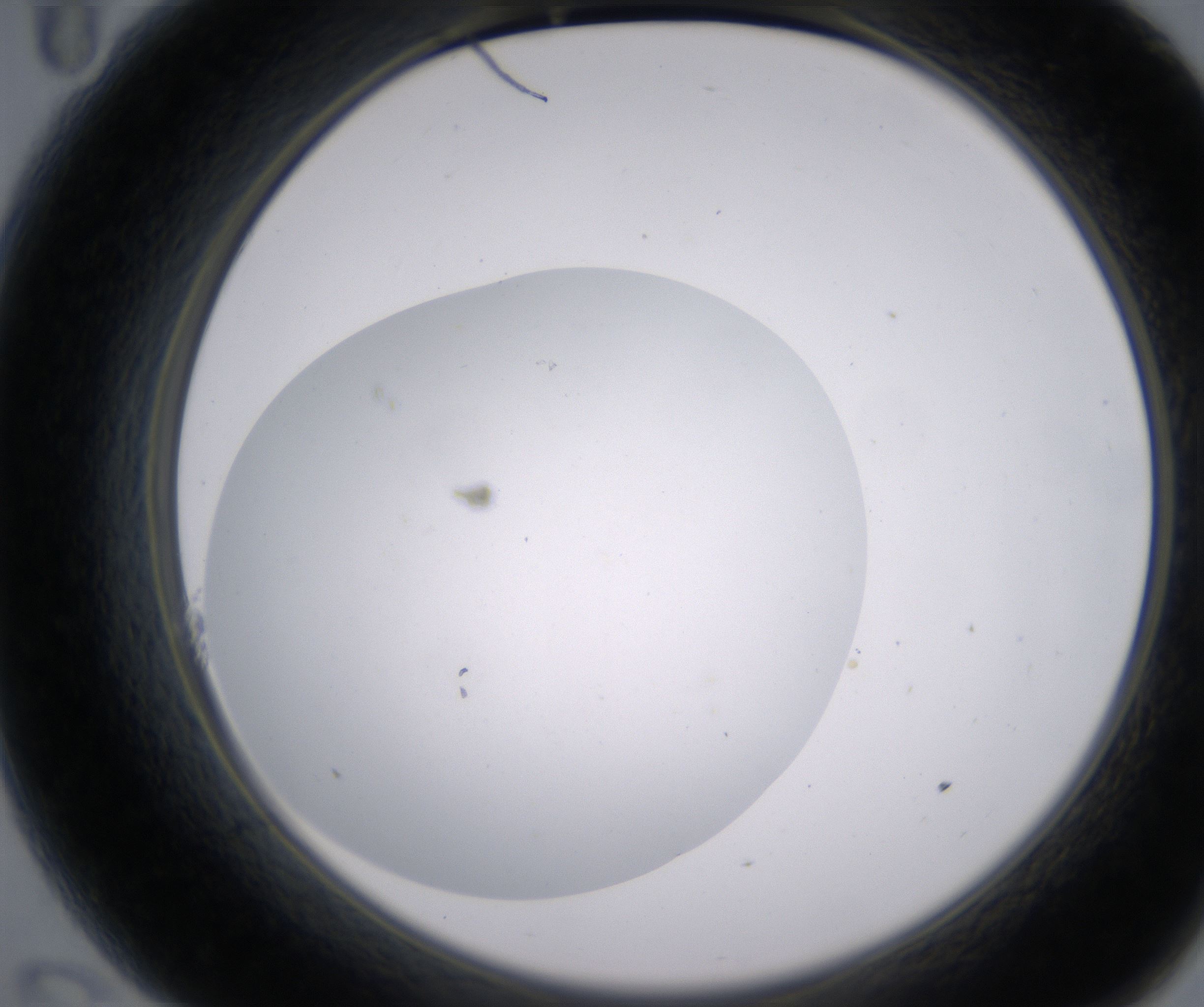 A11_HighResolution_Clear_2.jpg
