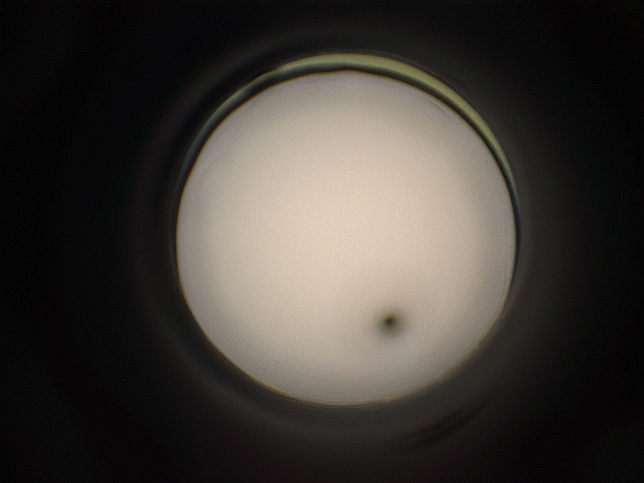 05jg_M24_ImagerDefaults_1.jpg