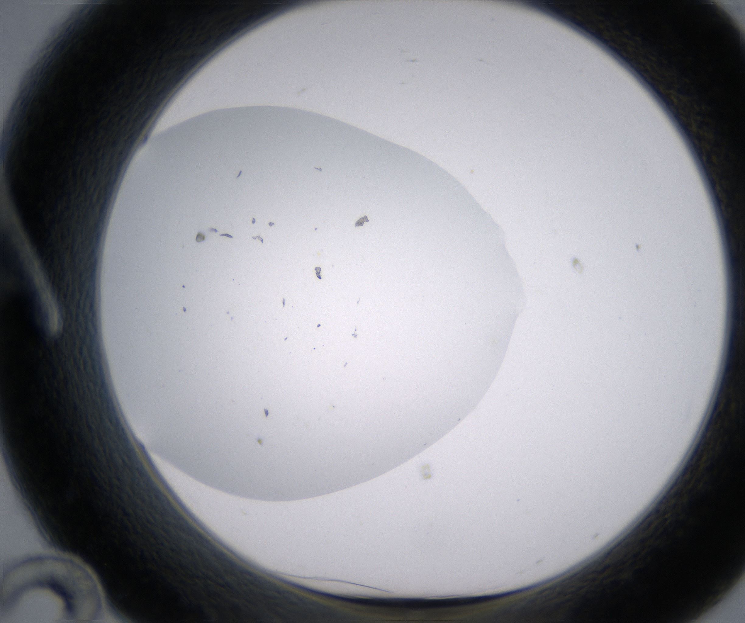 A12_HighResolution_Clear_1.jpg