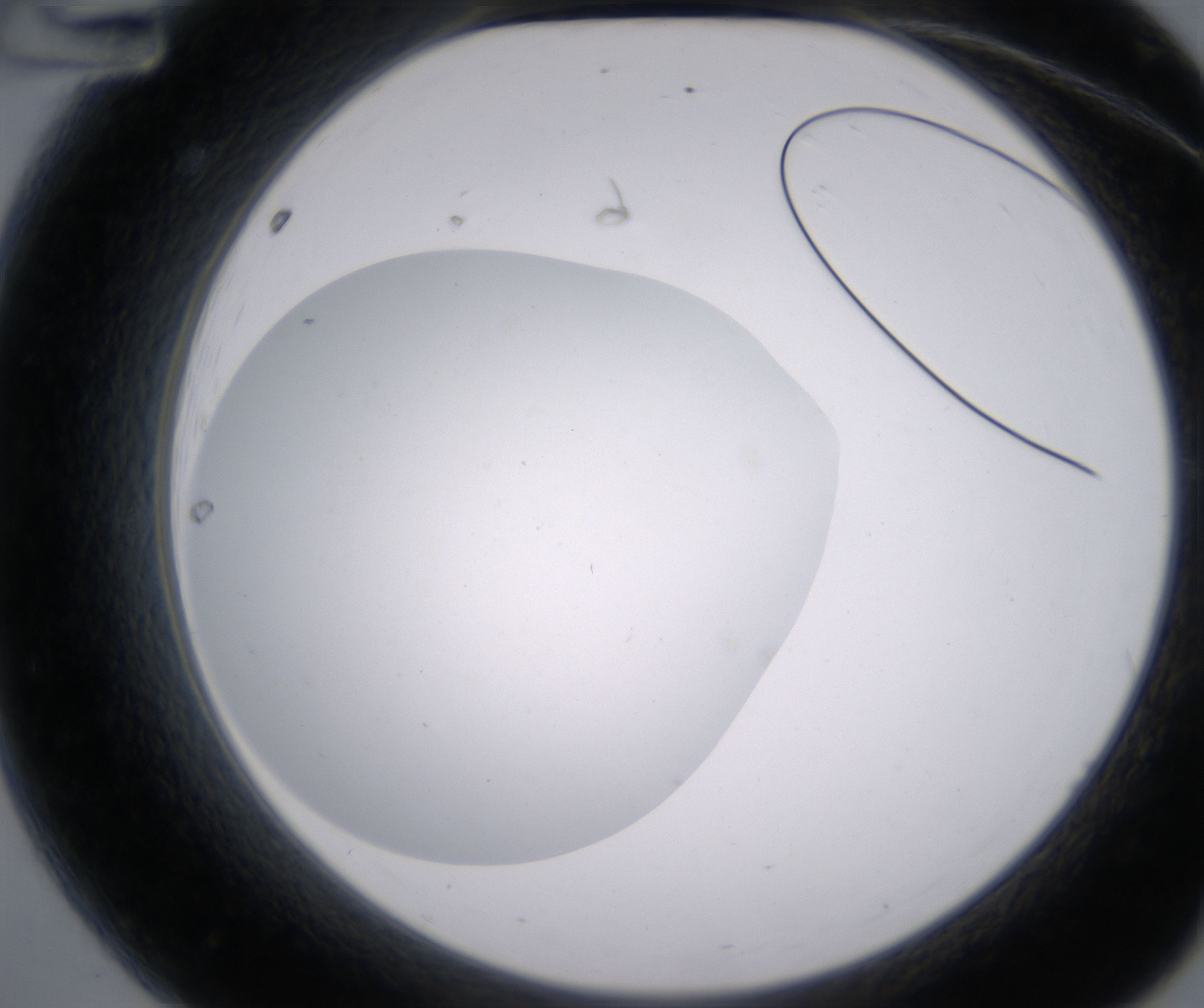 A12_HighResolution_Clear_2.jpg