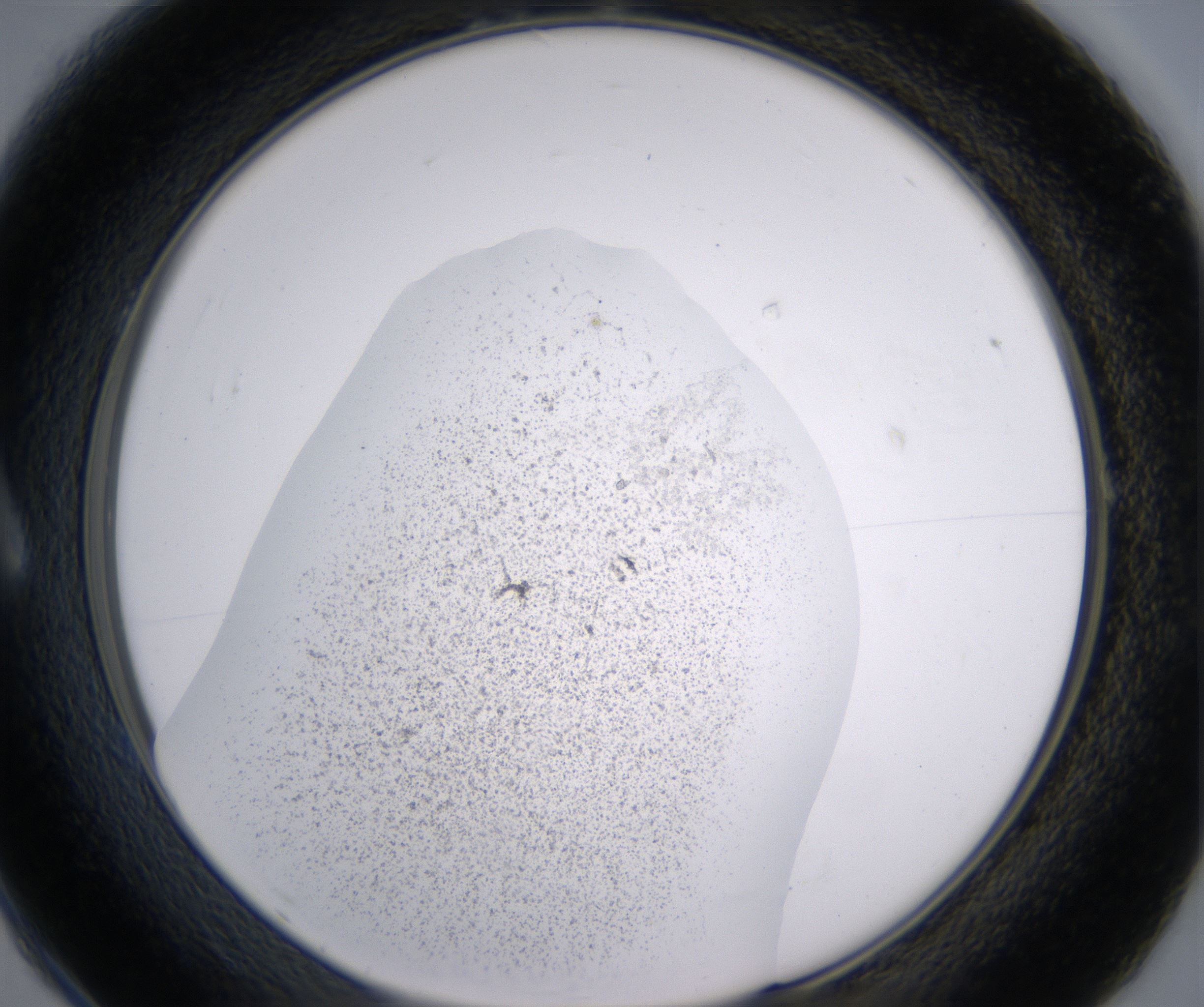 A1_HighResolution_Precipitate_1.jpg