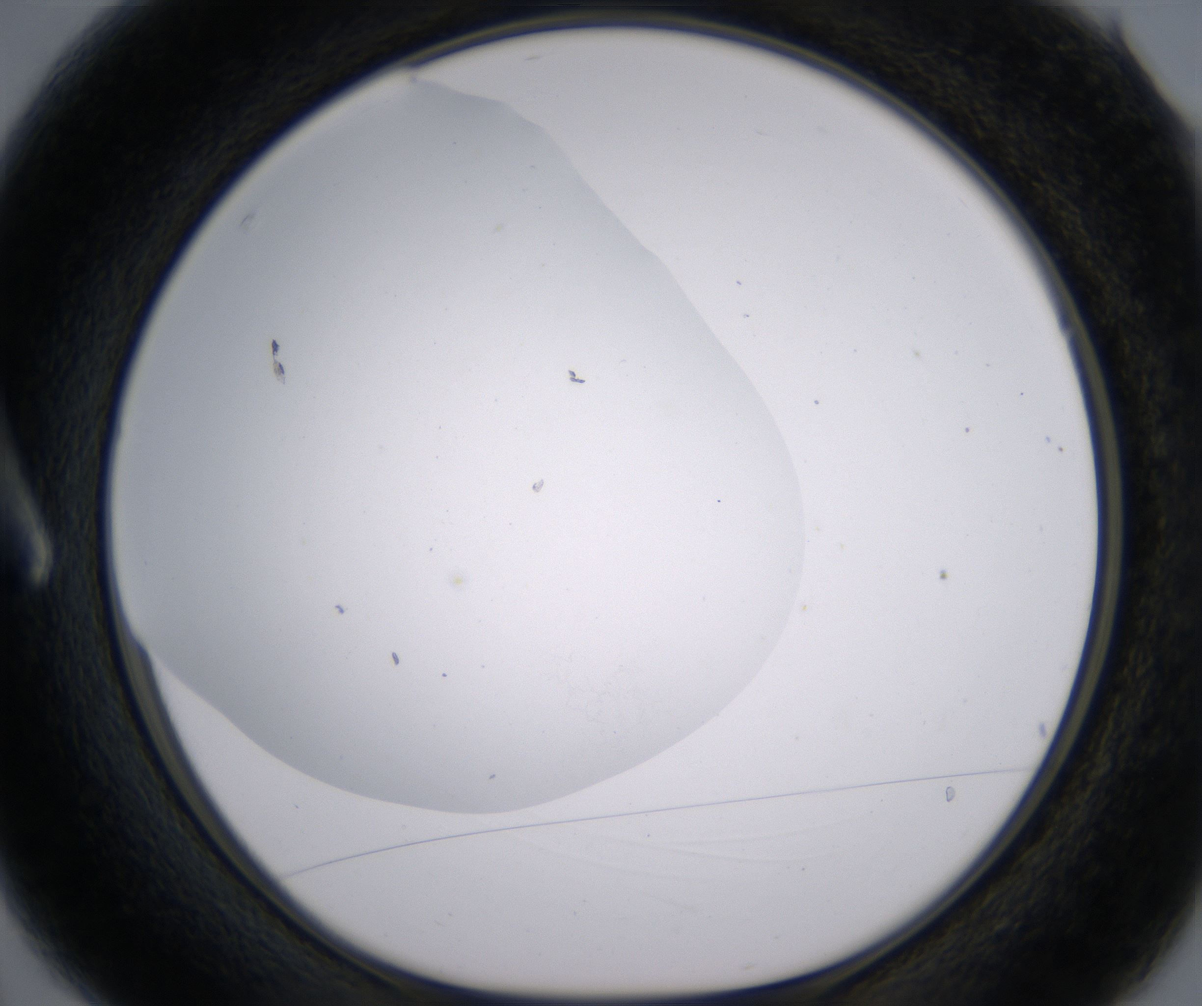 A3_HighResolution_Clear_1.jpg